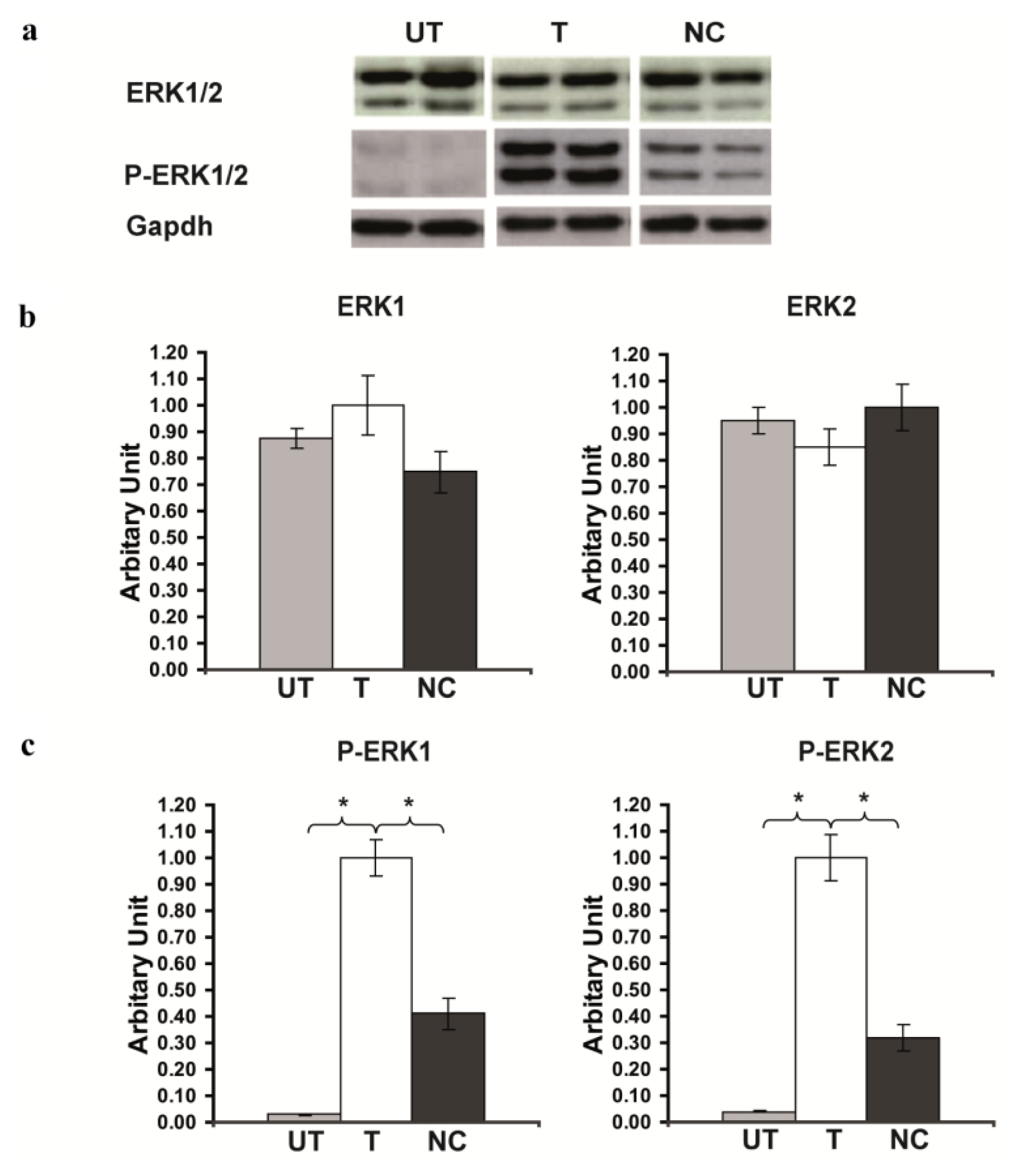 Ijms 14 03358f3 1024