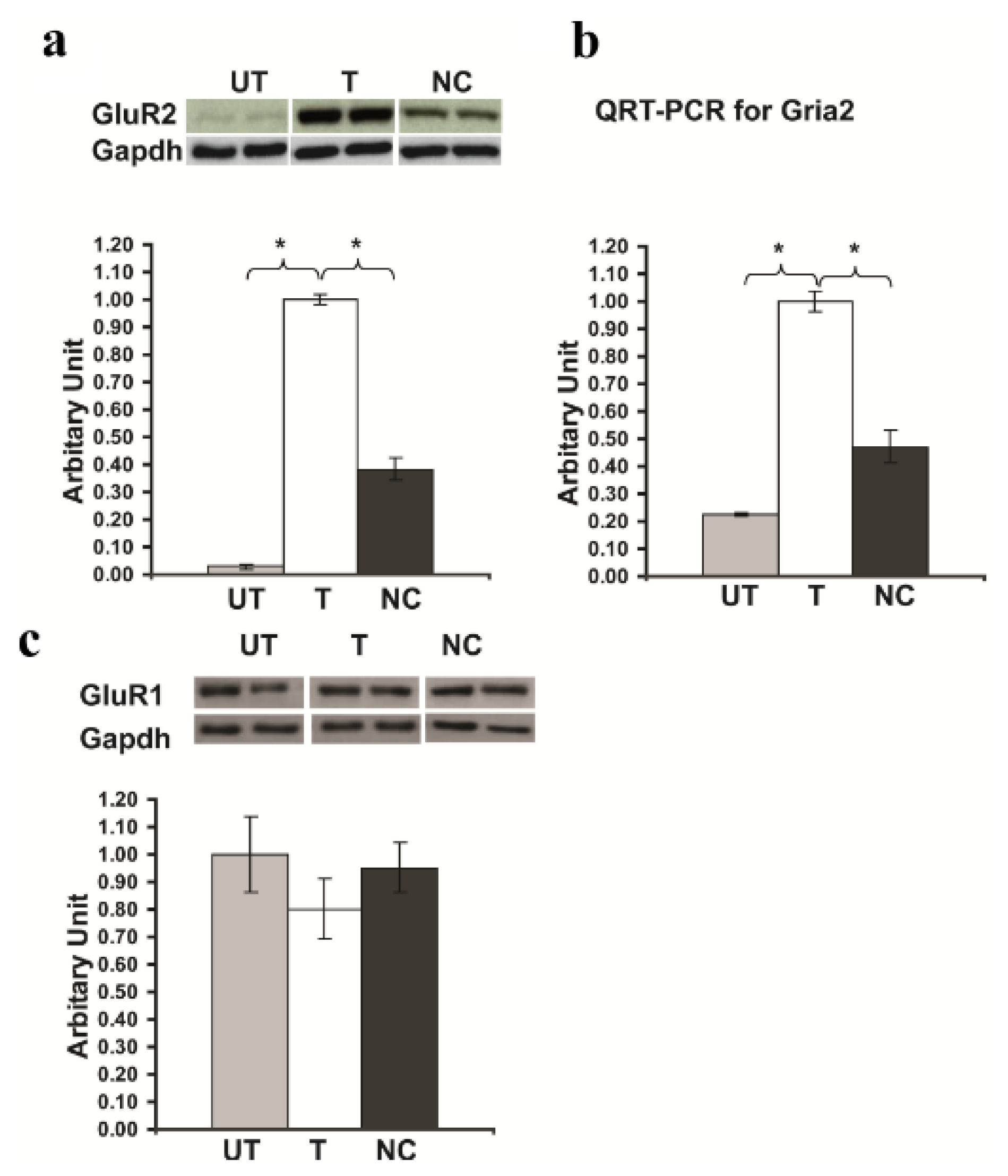 Ijms 14 03358f4 1024