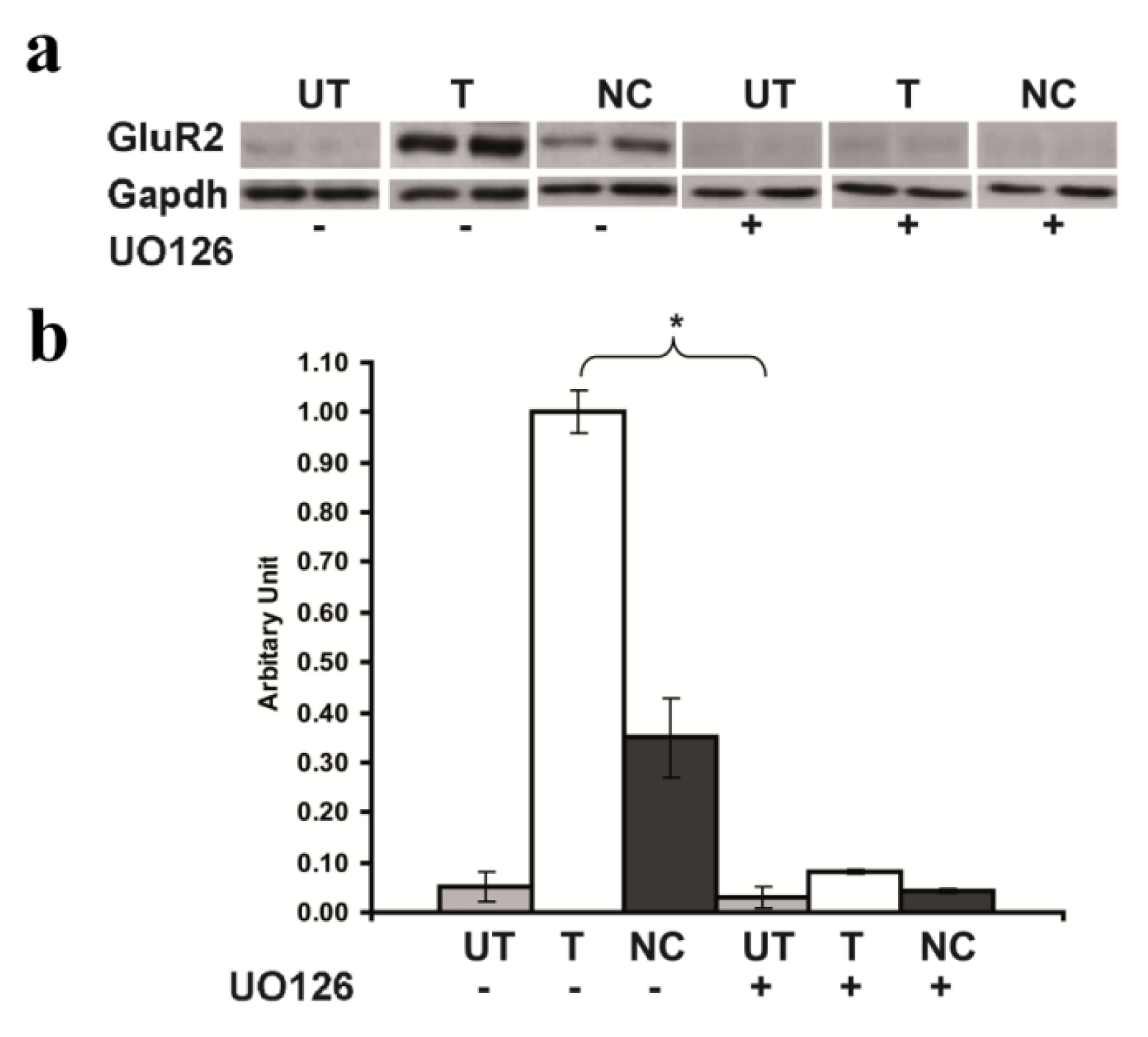 Ijms 14 03358f5 1024