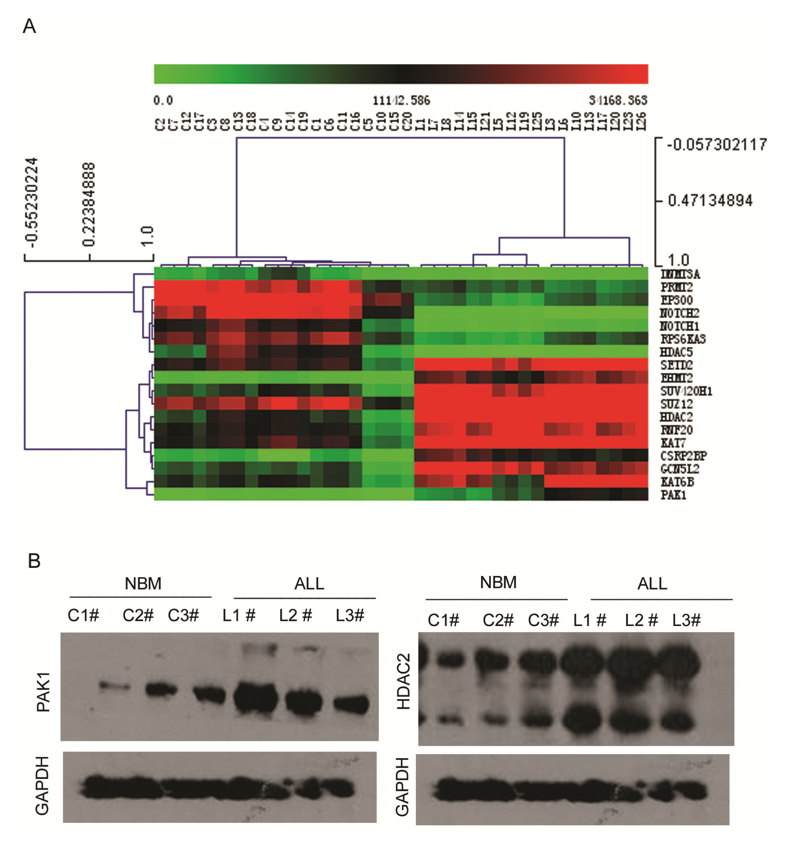 Ijms 14 03376f3 1024