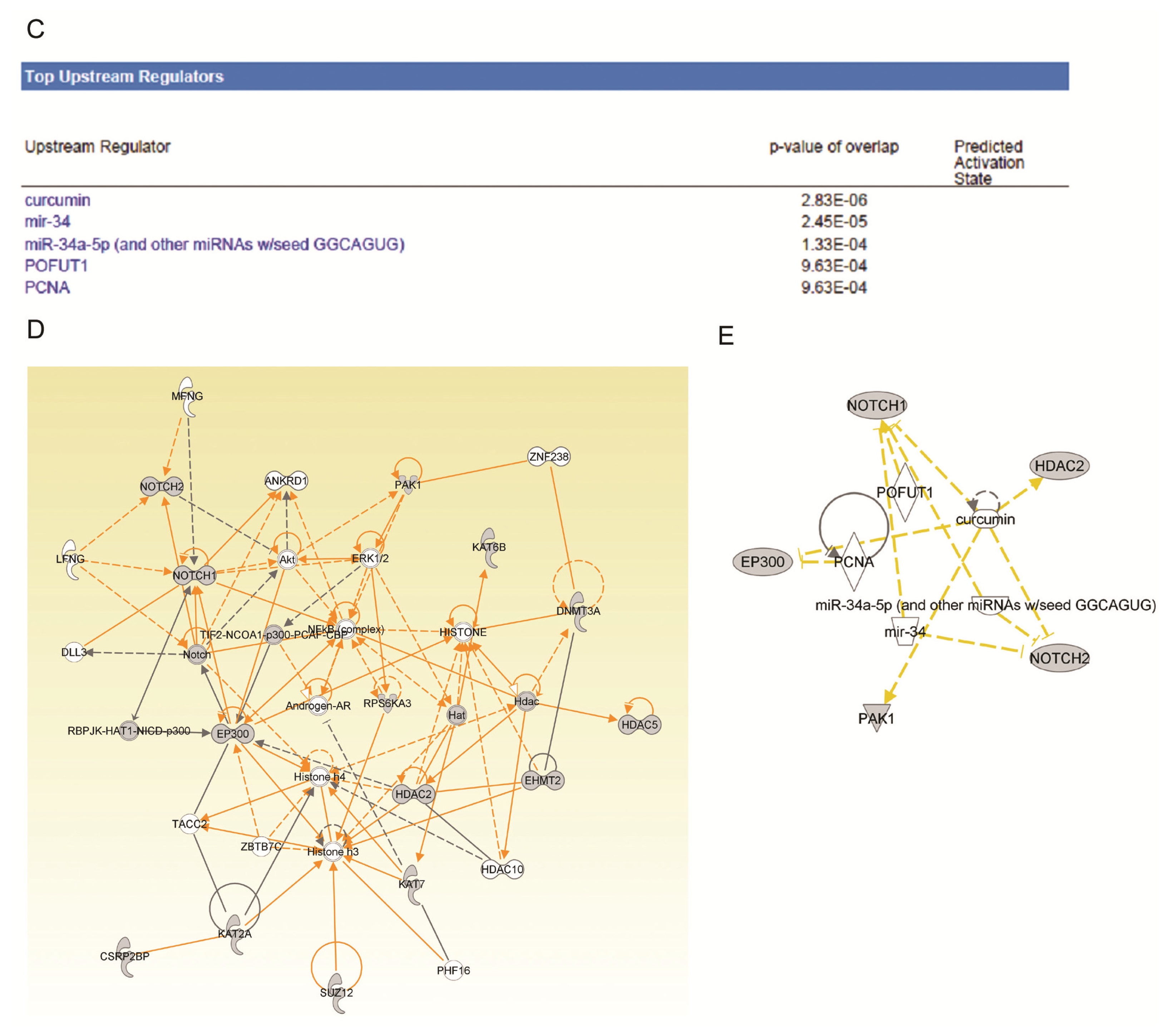 Ijms 14 03376f6b 1024
