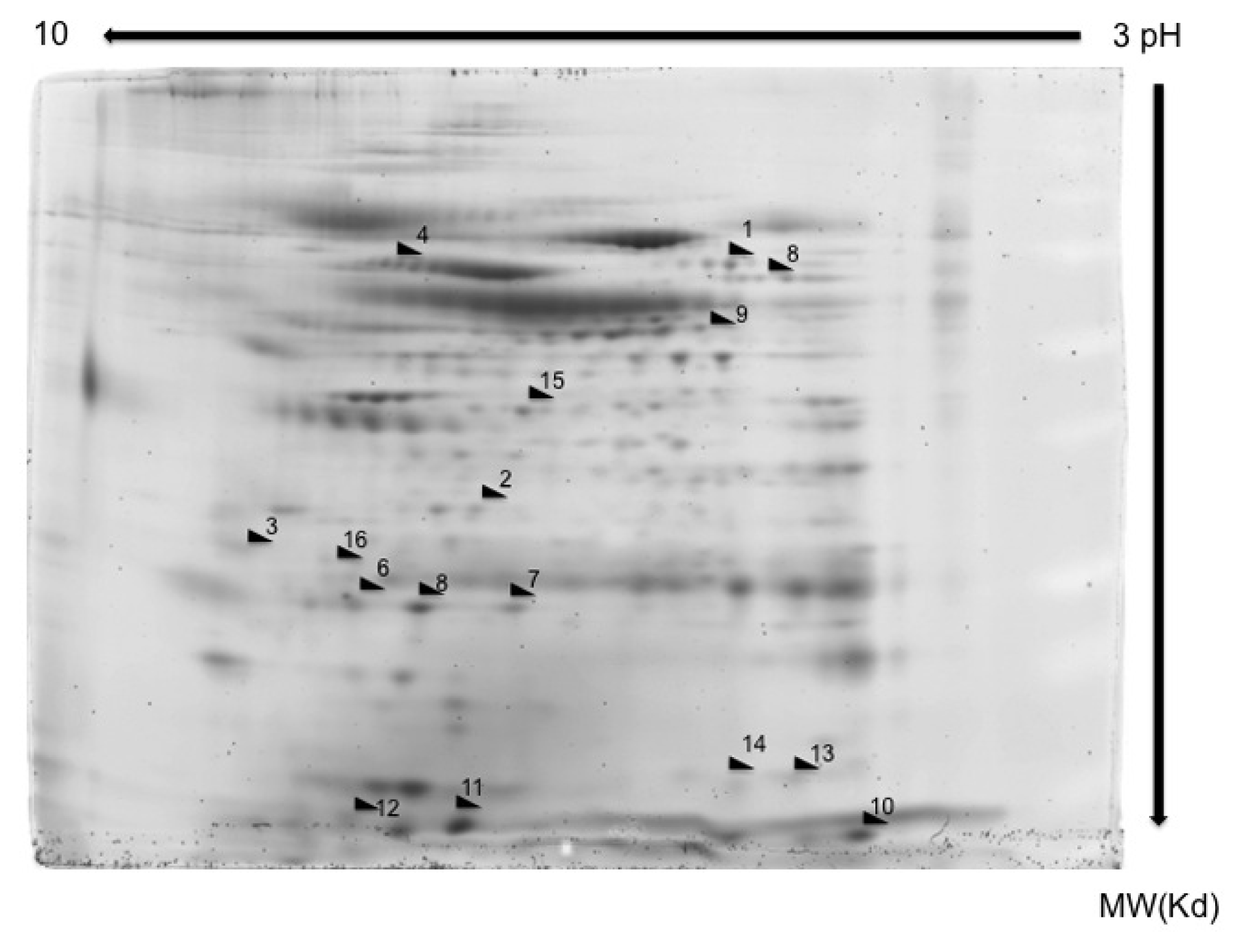 Ijms 14 03440f1 1024