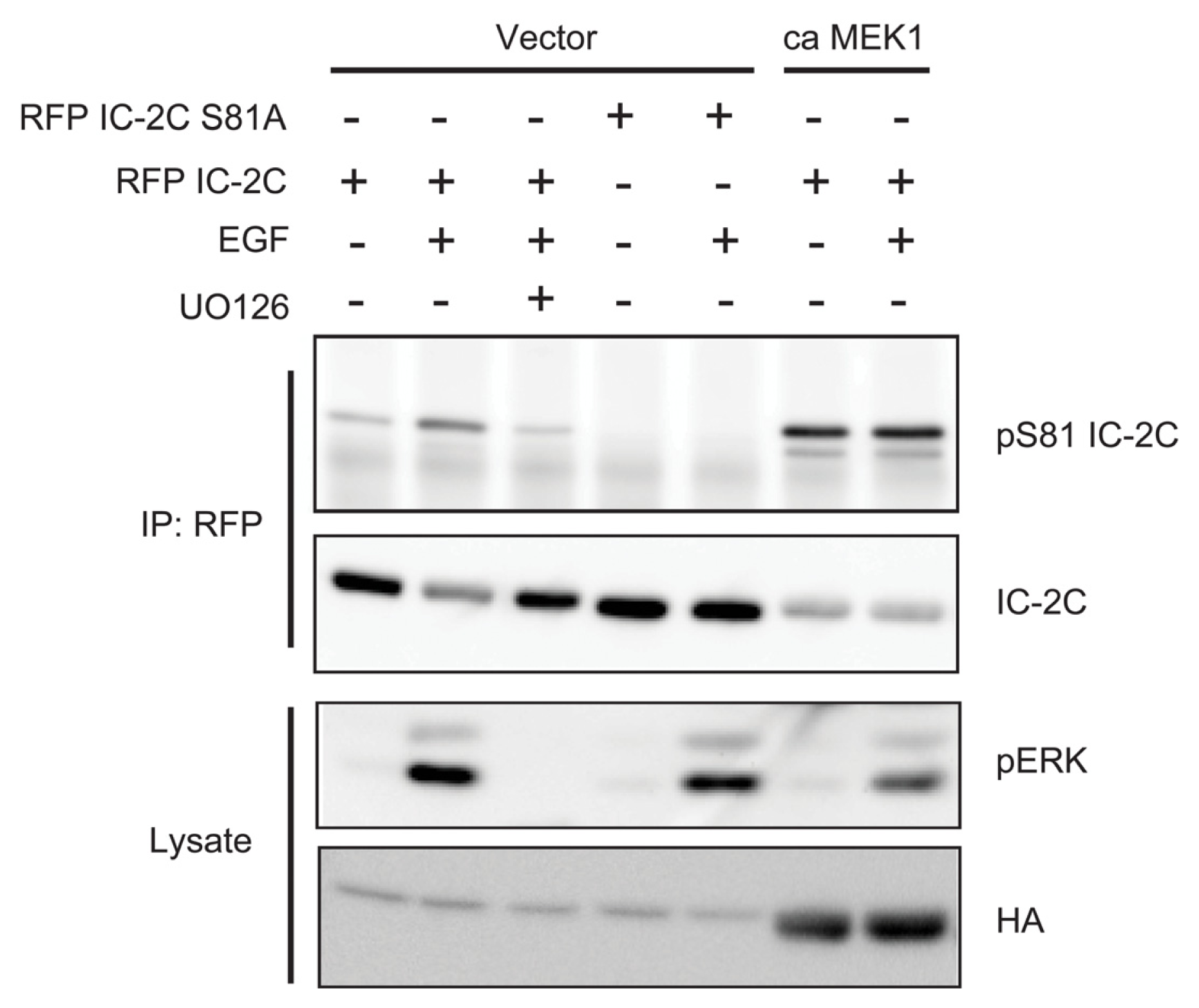Ijms 14 03595f4