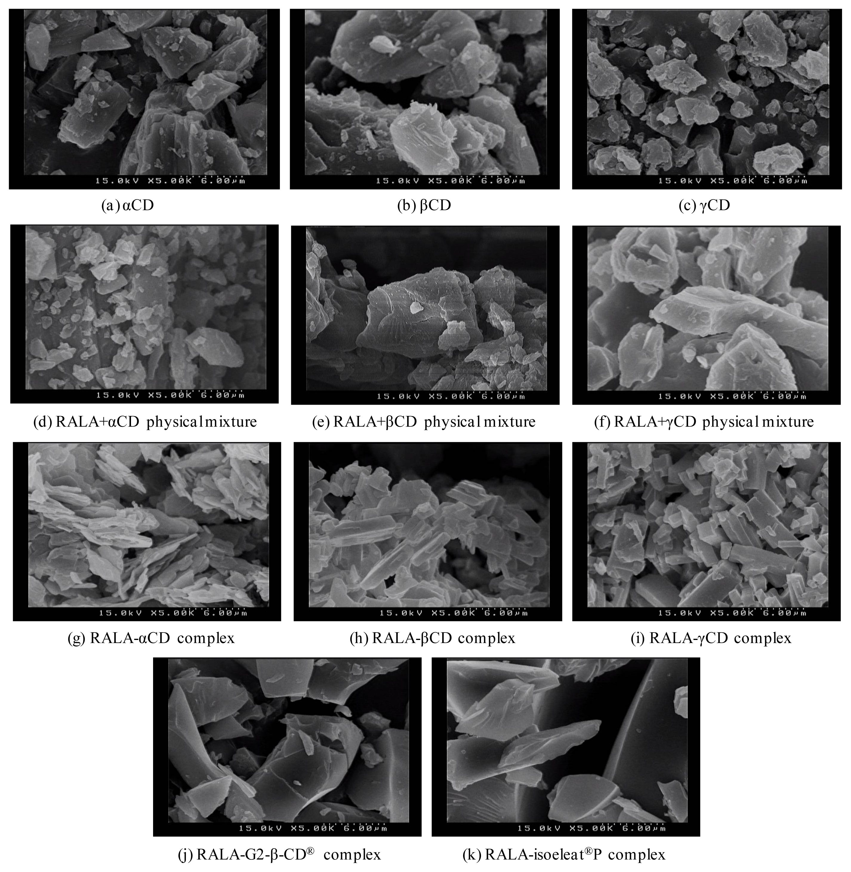 Ijms 14 03639f5 1024