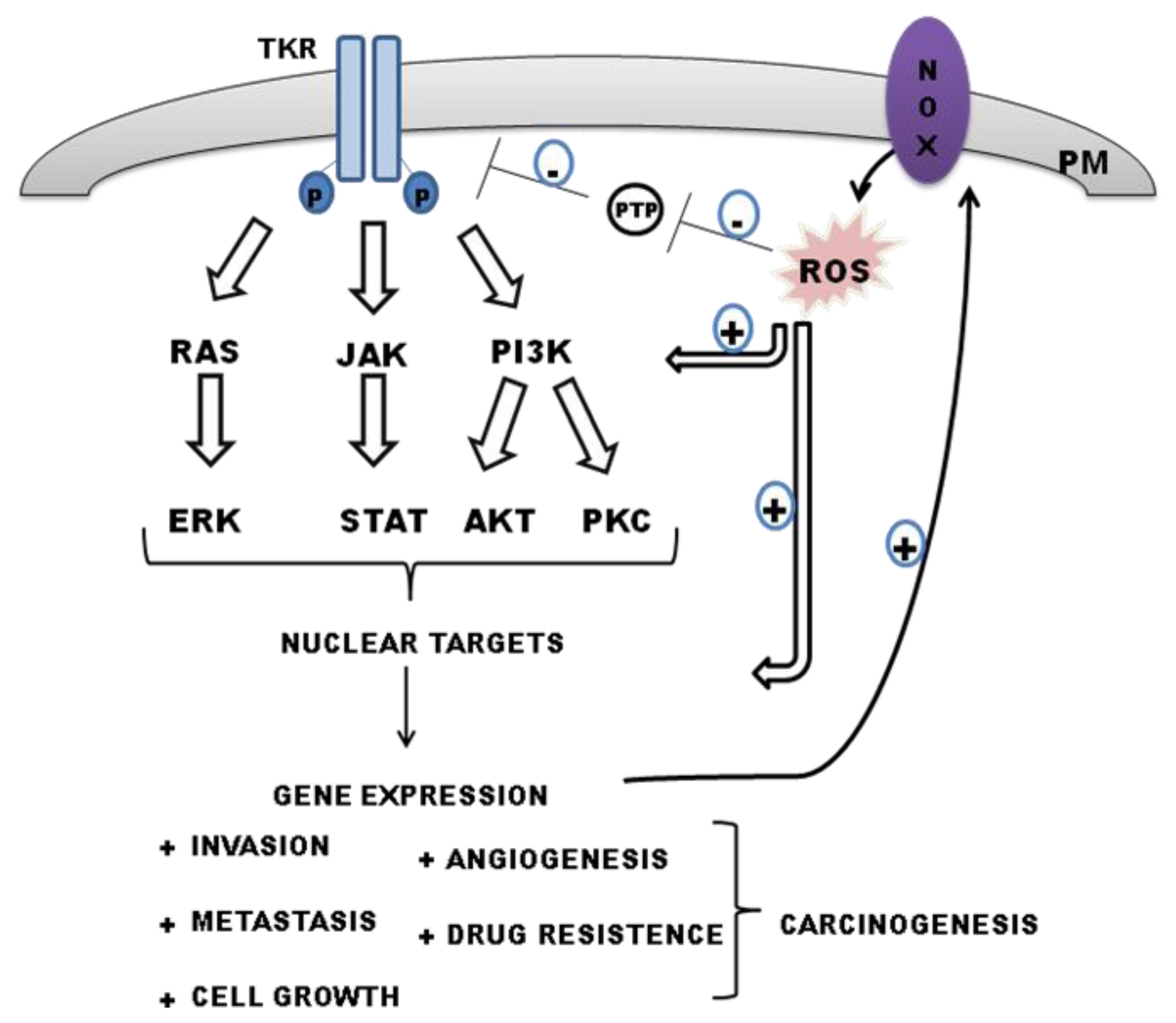 Ijms 14 03683f2 1024
