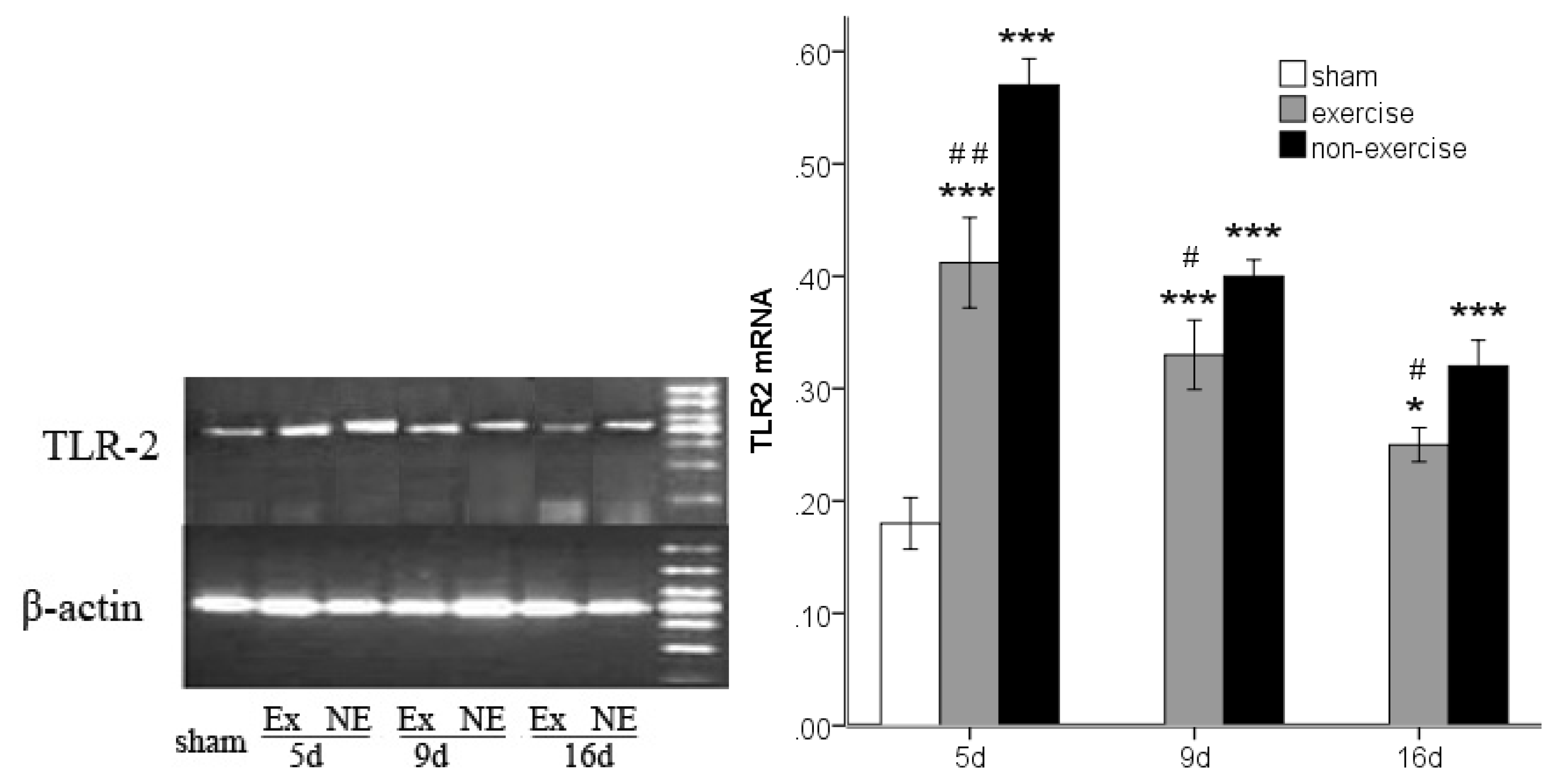 Ijms 14 03718f2 1024