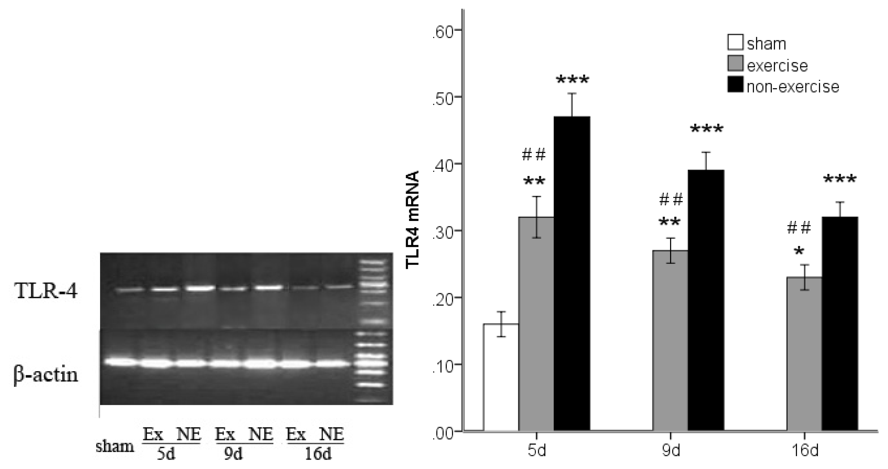 Ijms 14 03718f3 1024