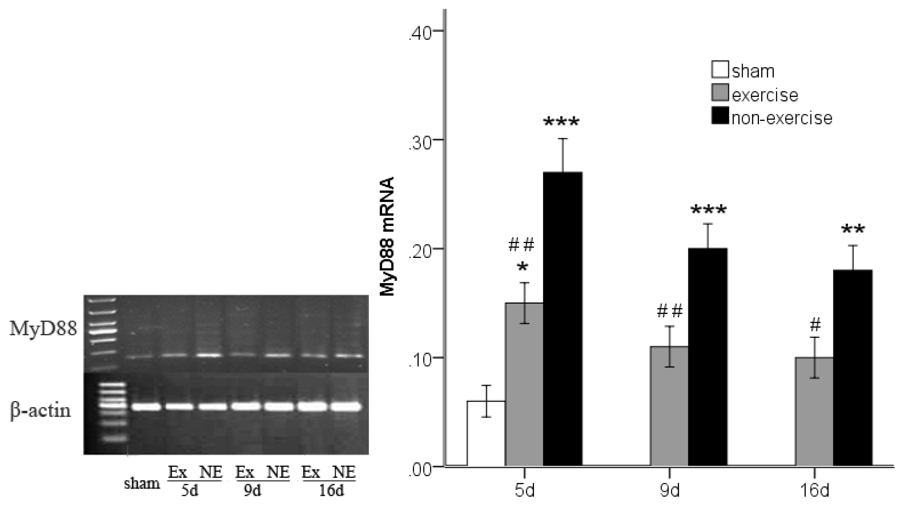 Ijms 14 03718f4 1024