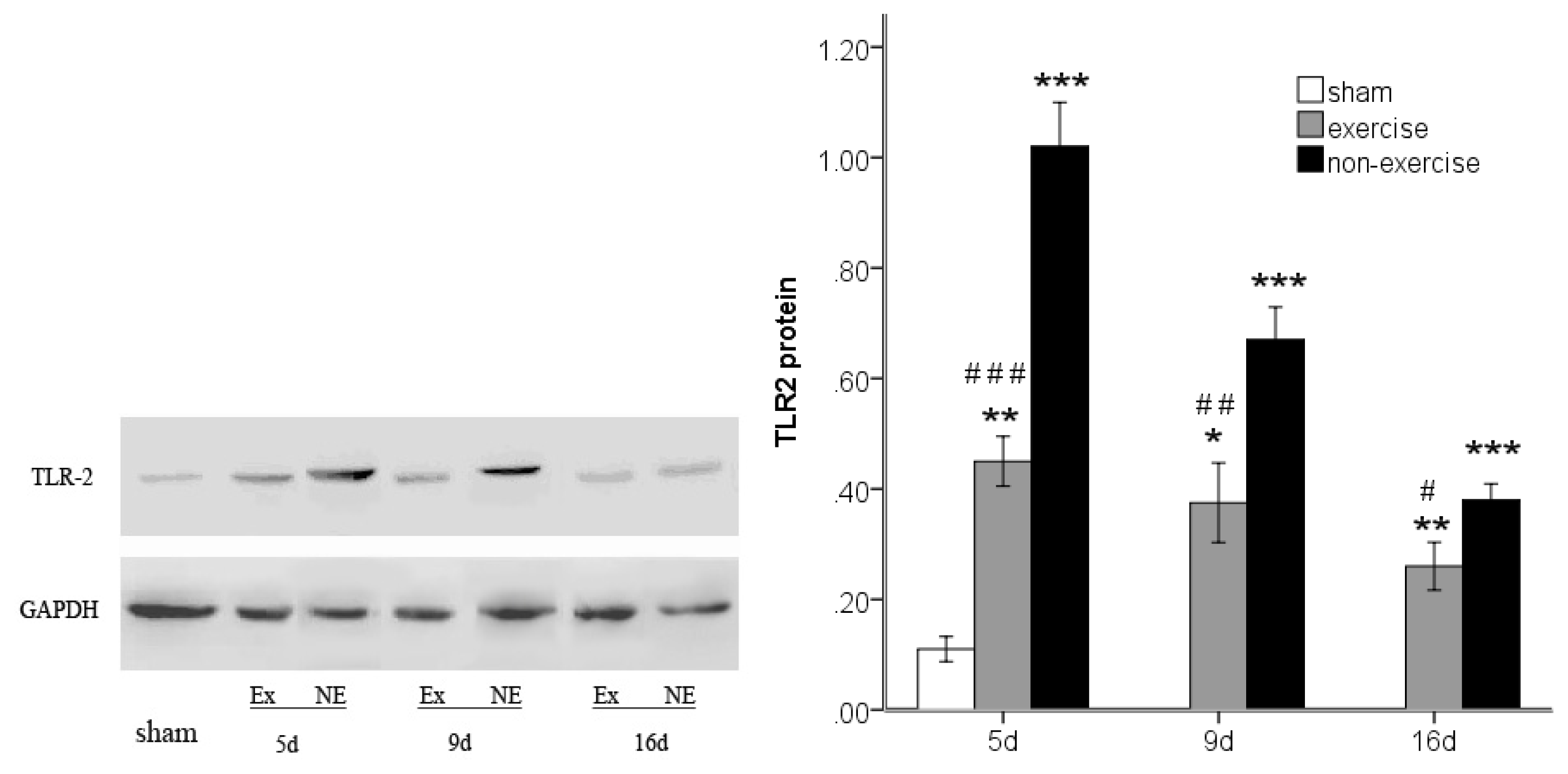 Ijms 14 03718f6 1024