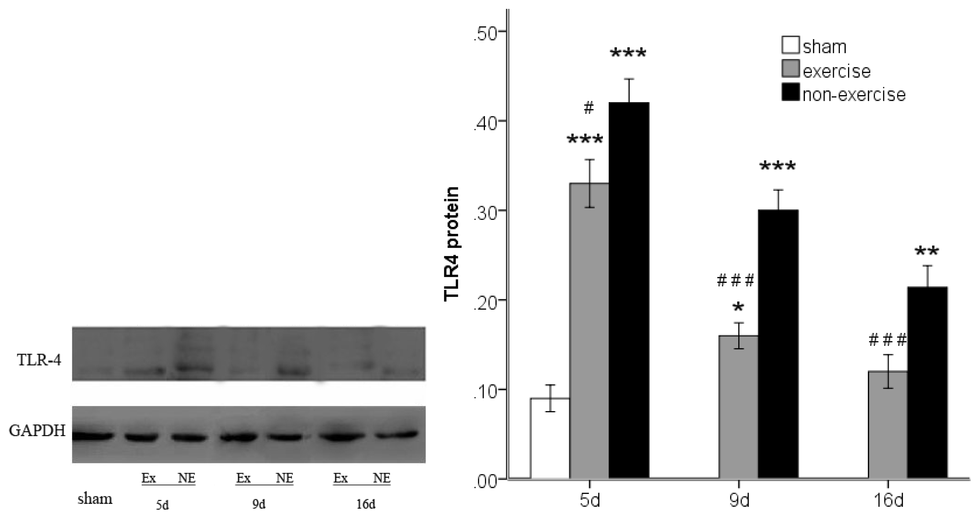 Ijms 14 03718f7 1024