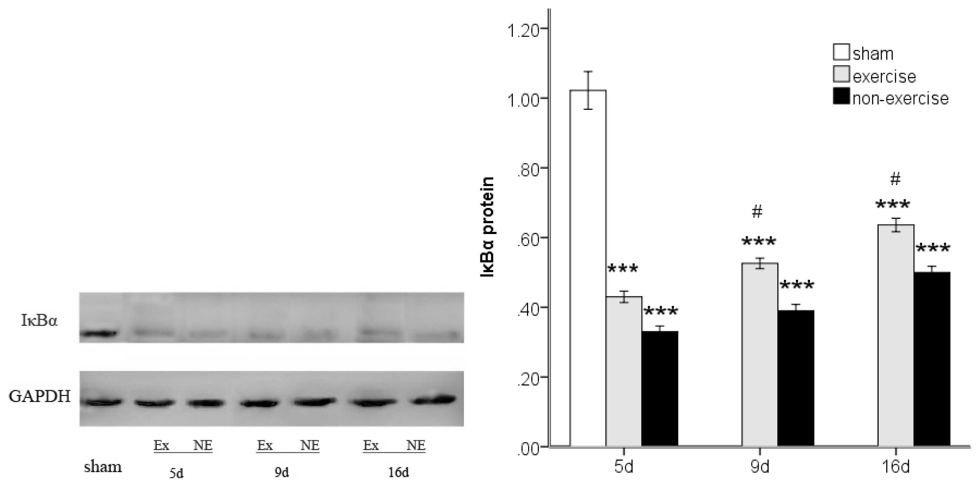 Ijms 14 03718f8 1024