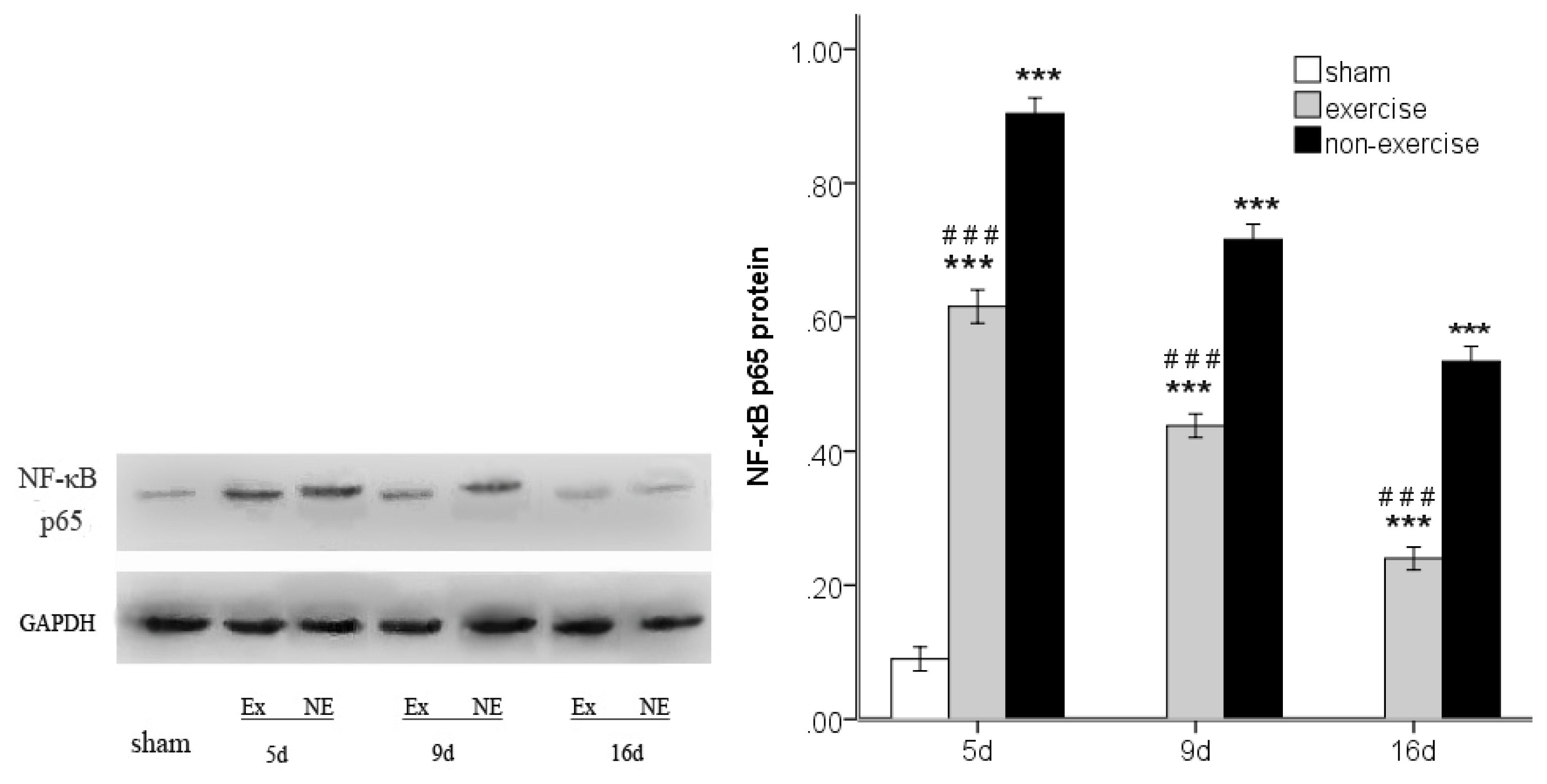 Ijms 14 03718f9 1024