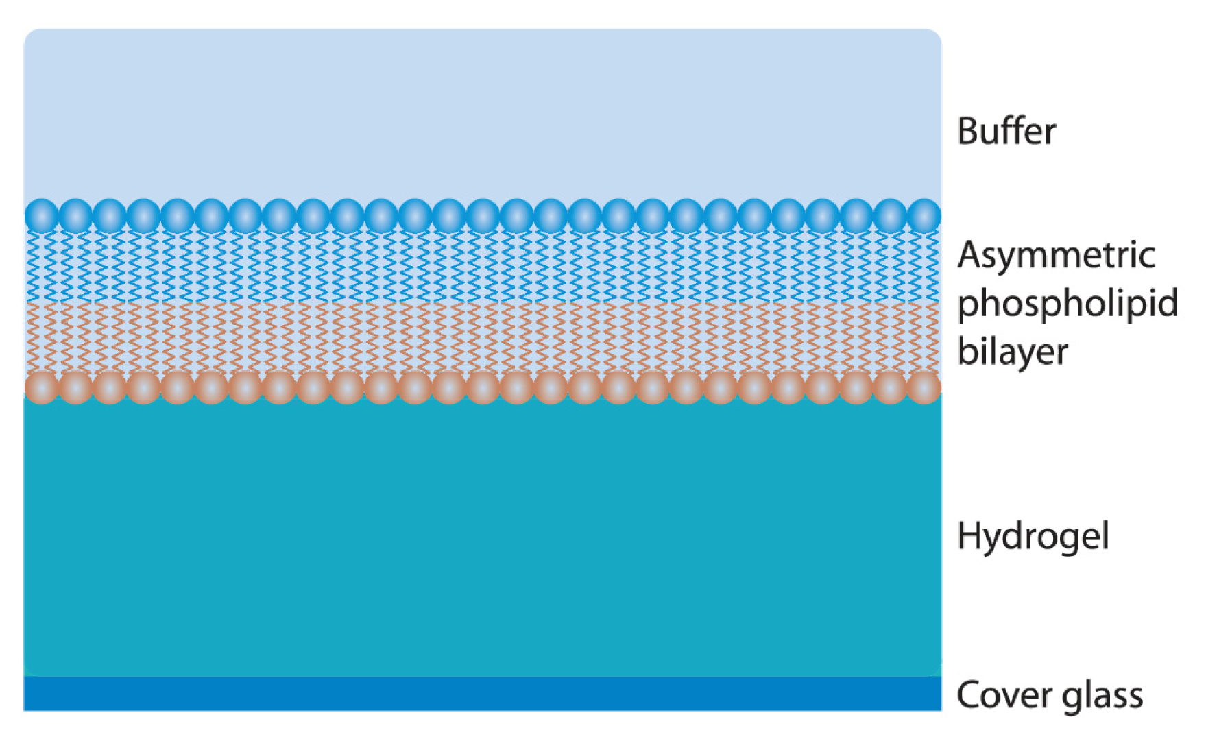 Ijms 14 03734f9 1024