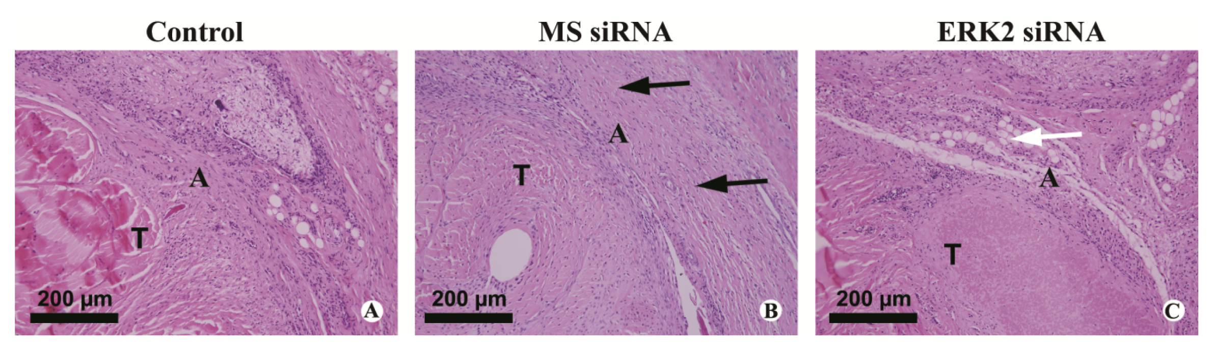 Ijms 14 04361f5