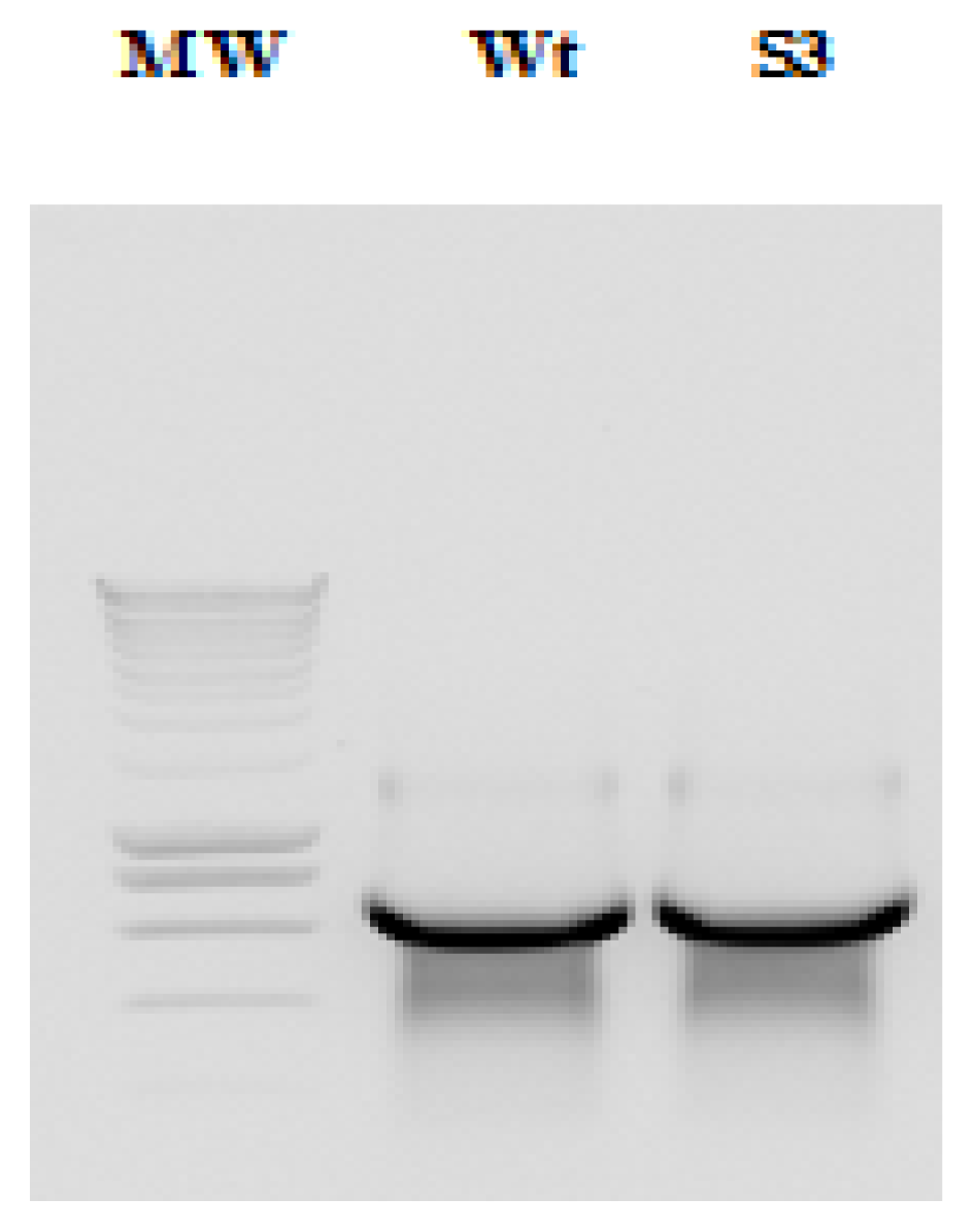 Ijms 14 04400f3 1024