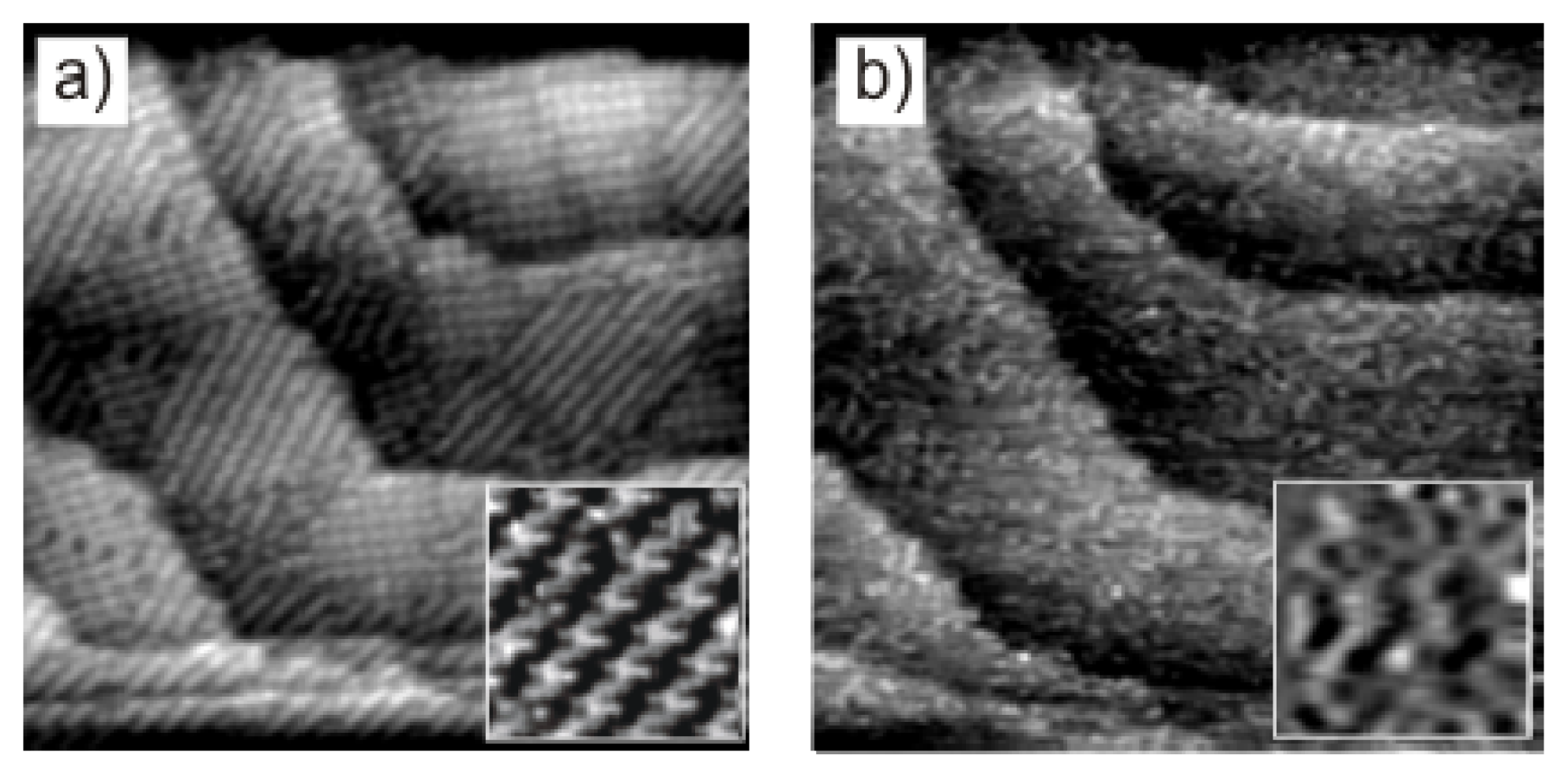 Ijms 14 04498f10 1024