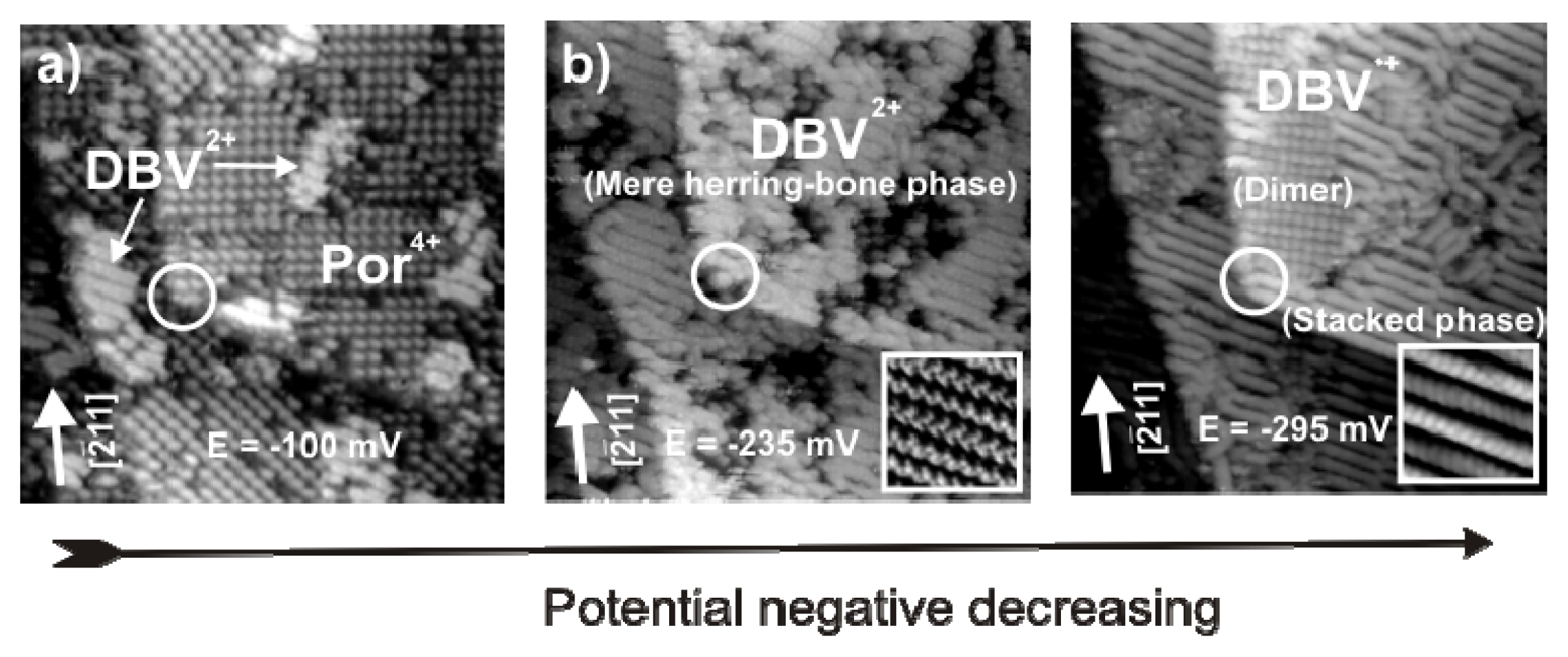 Ijms 14 04498f15 1024