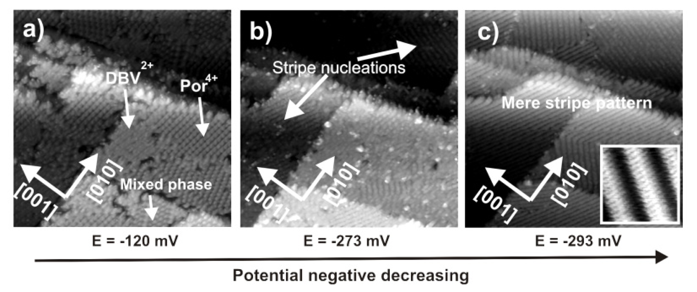 Ijms 14 04498f16 1024