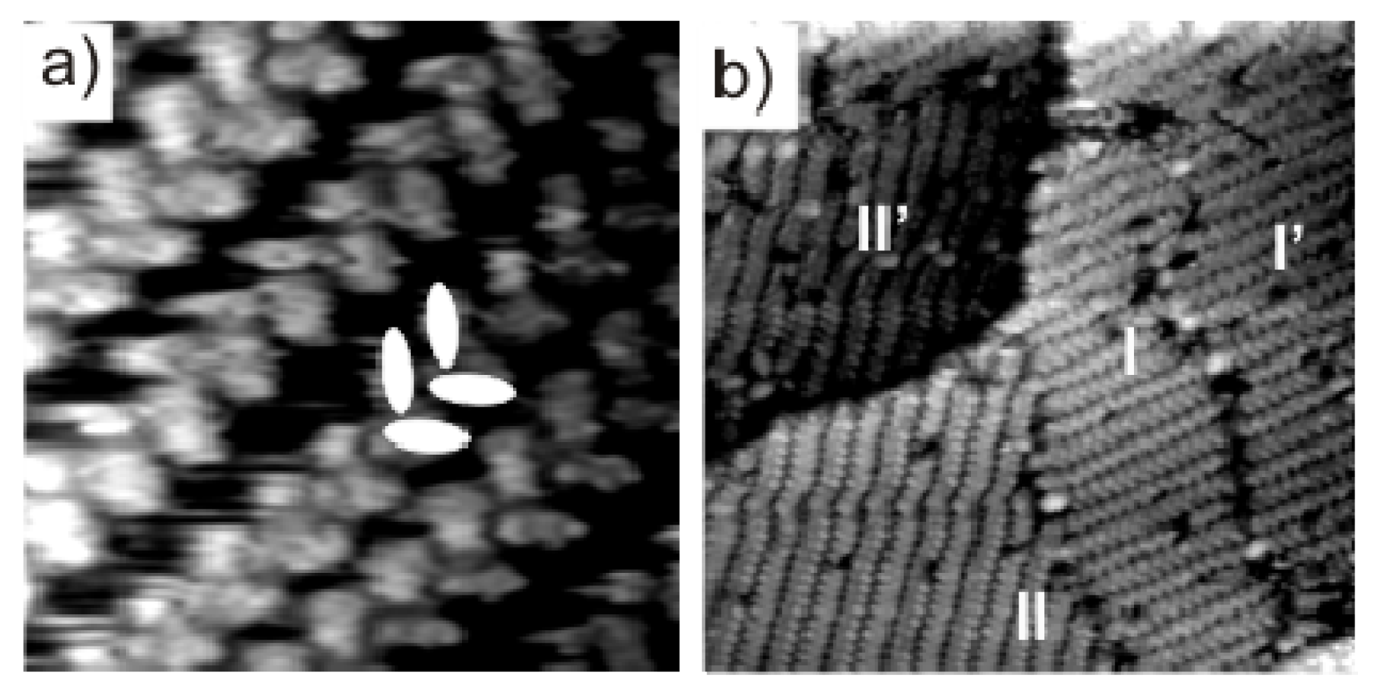 Ijms 14 04498f4 1024