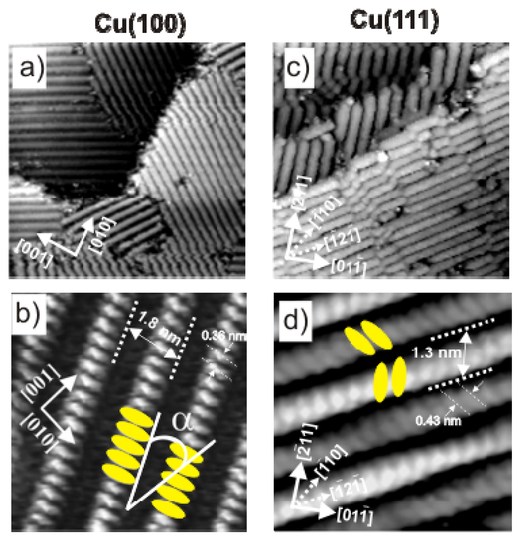 Ijms 14 04498f5 1024
