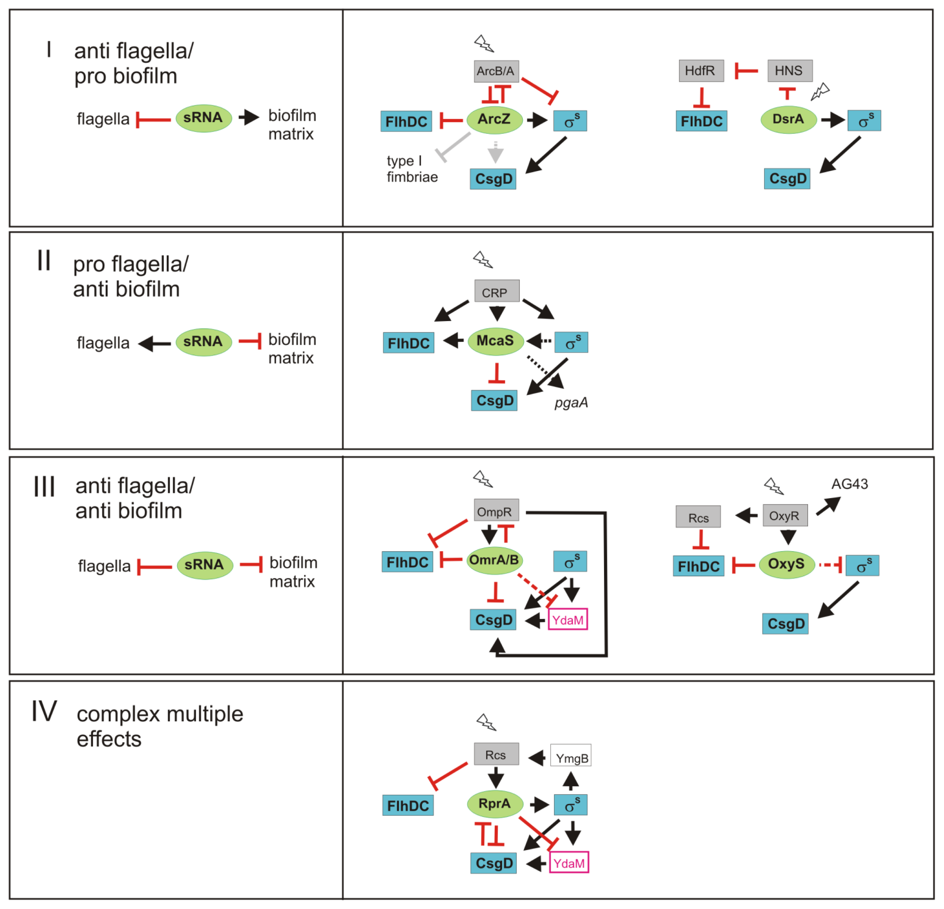 Ijms 14 04560f3 1024