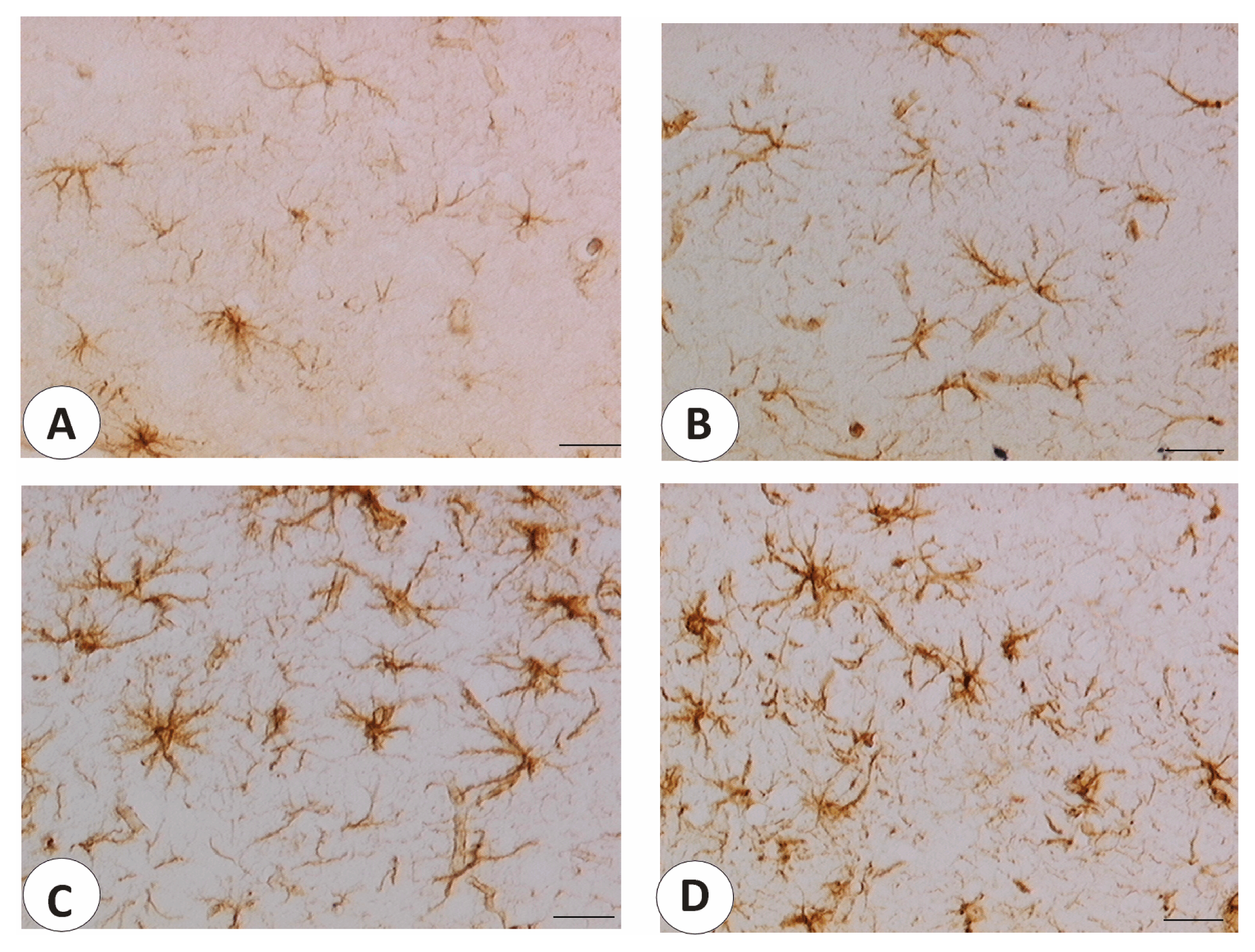 Ijms 14 04580f4a 1024