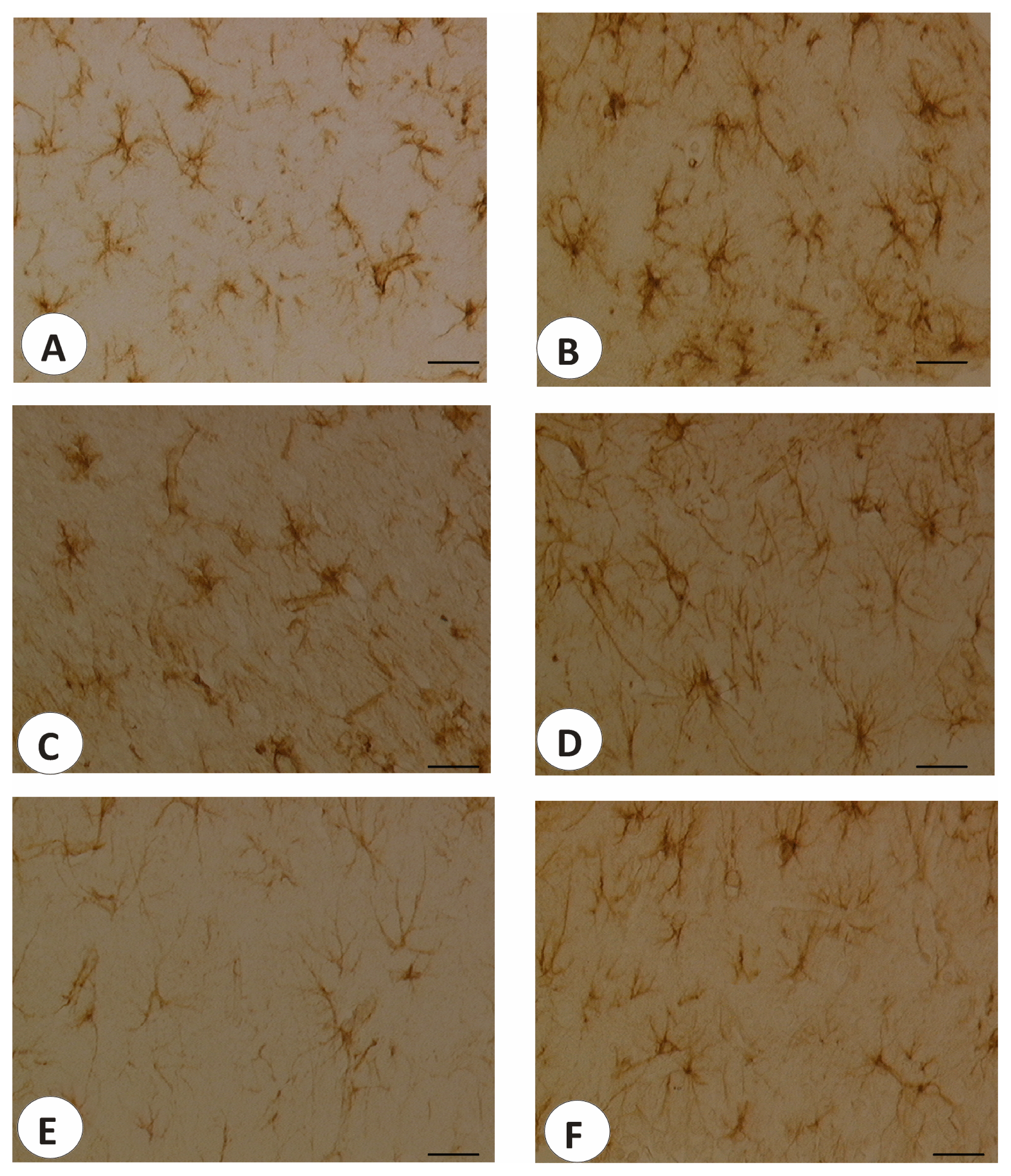 Ijms 14 04580f5 1024