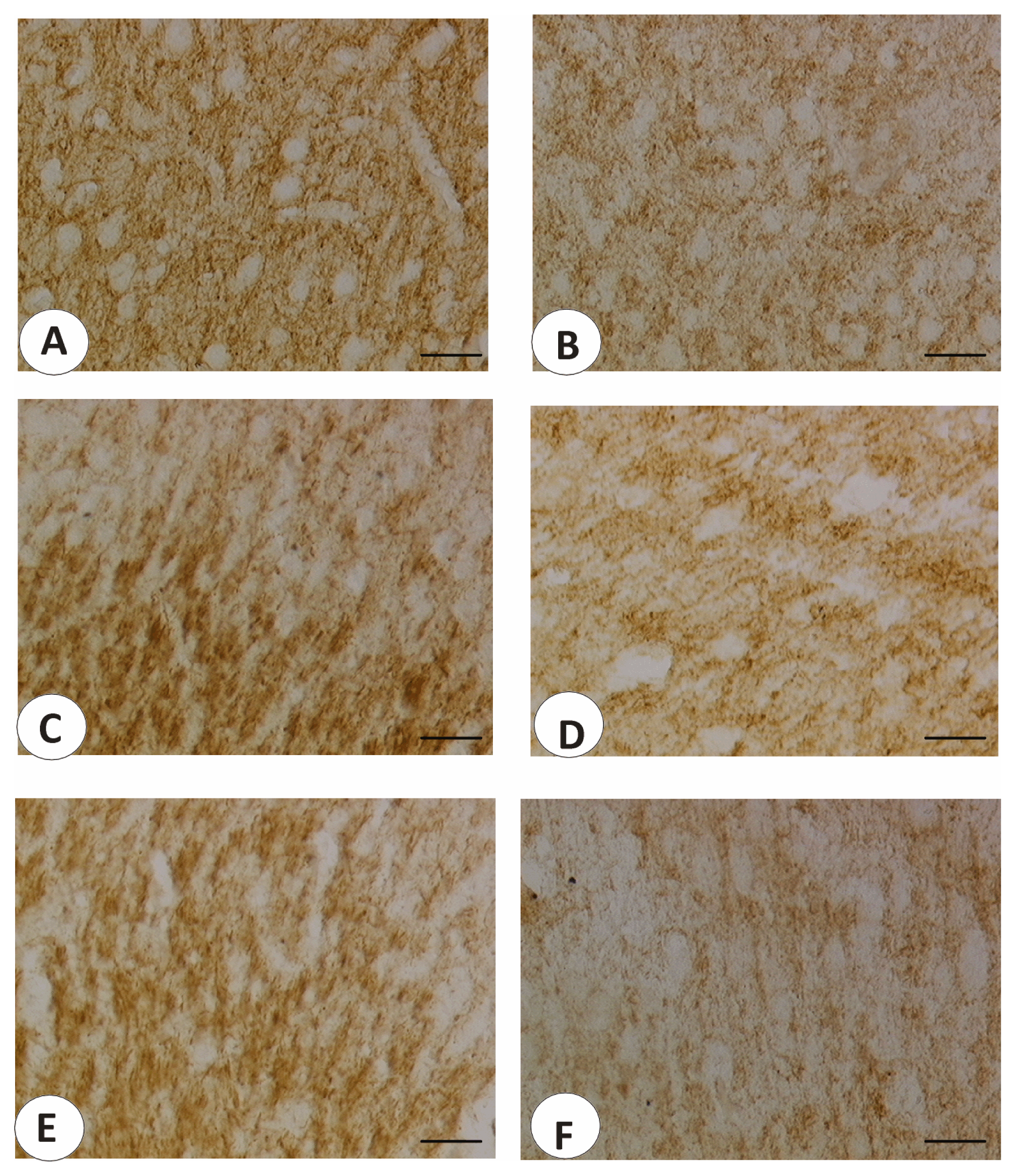 Ijms 14 04580f6 1024