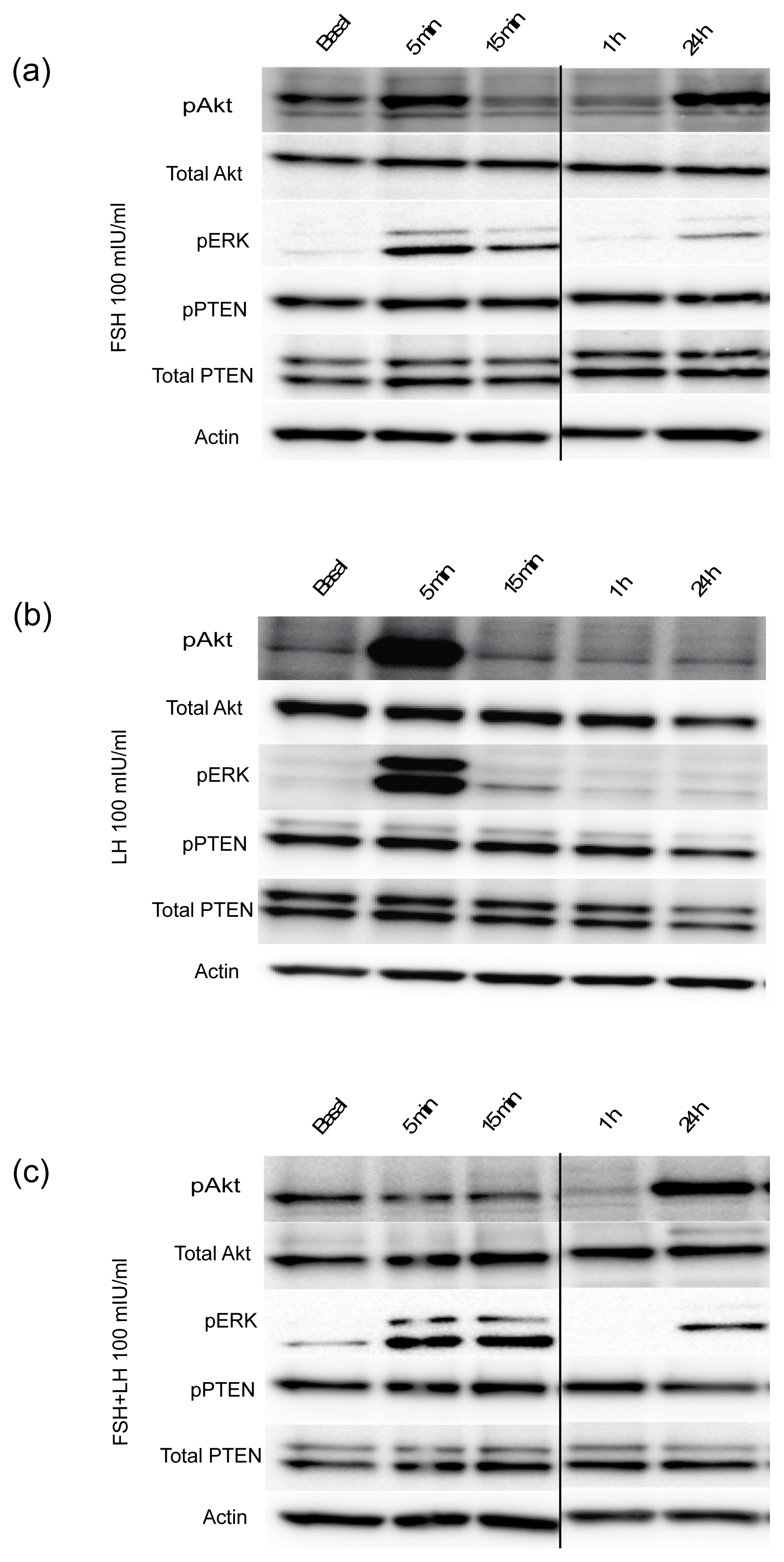 Ijms 14 04762f2 1024