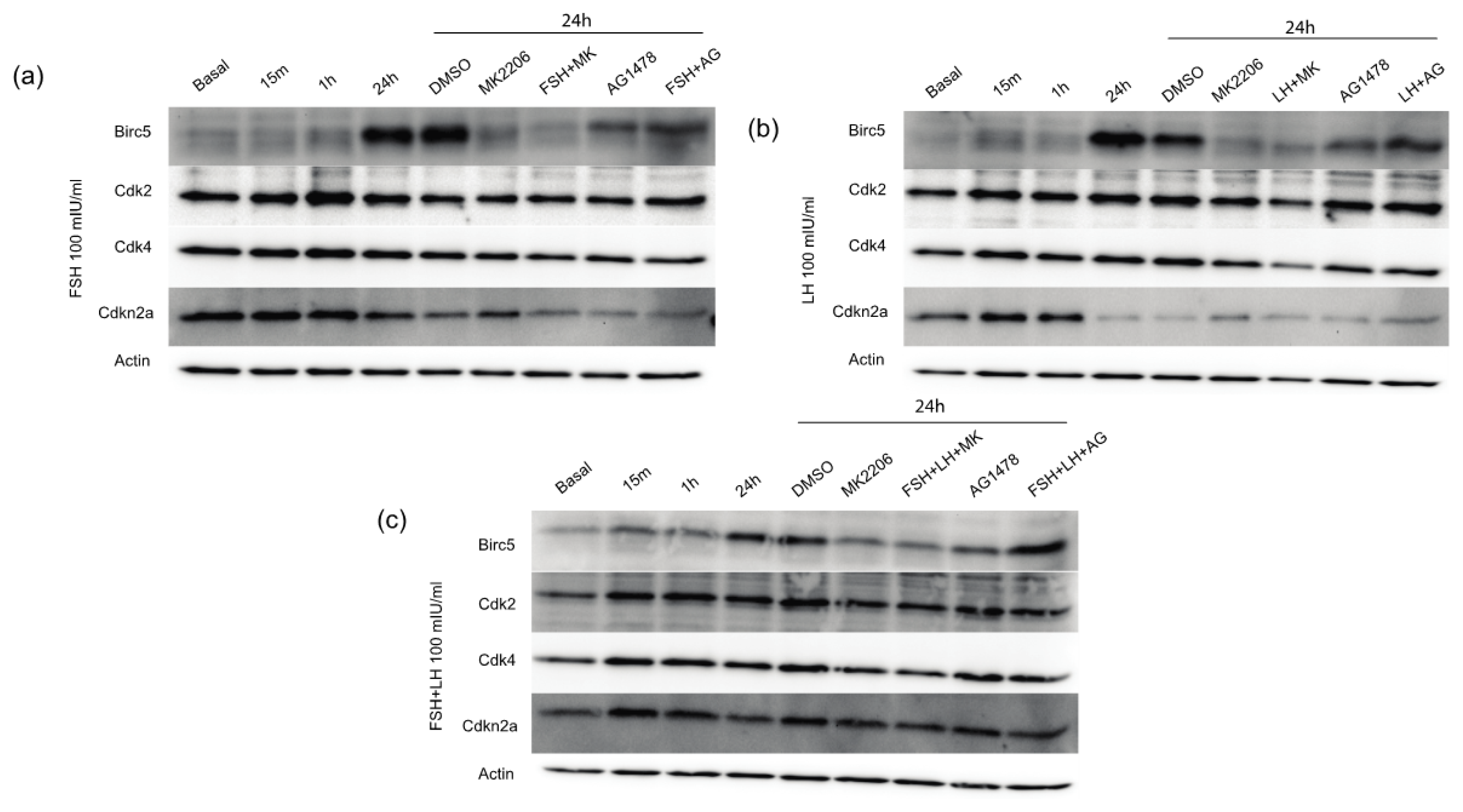 Ijms 14 04762f5 1024