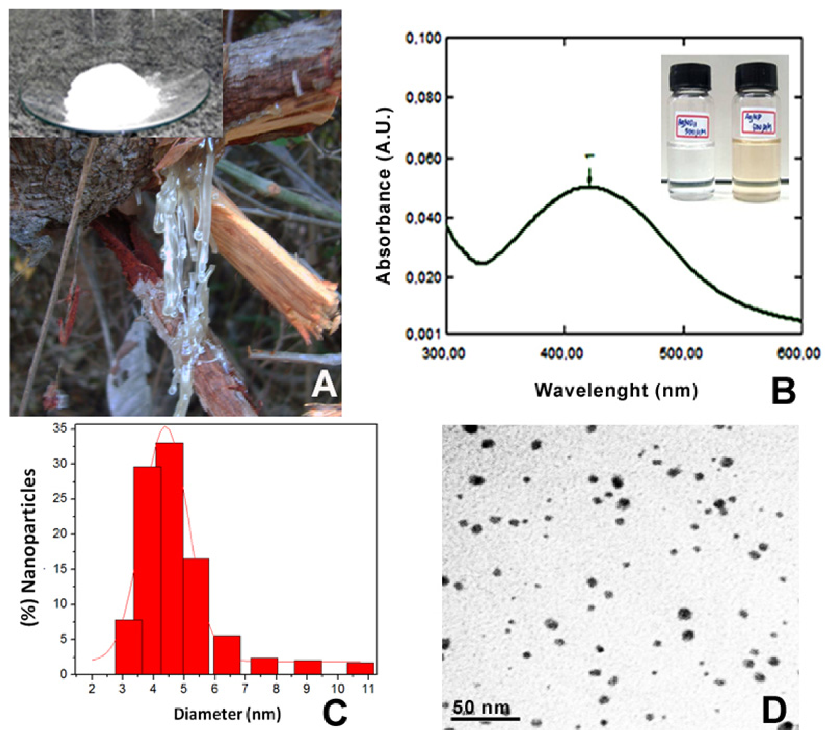 Ijms 14 04969f1 1024