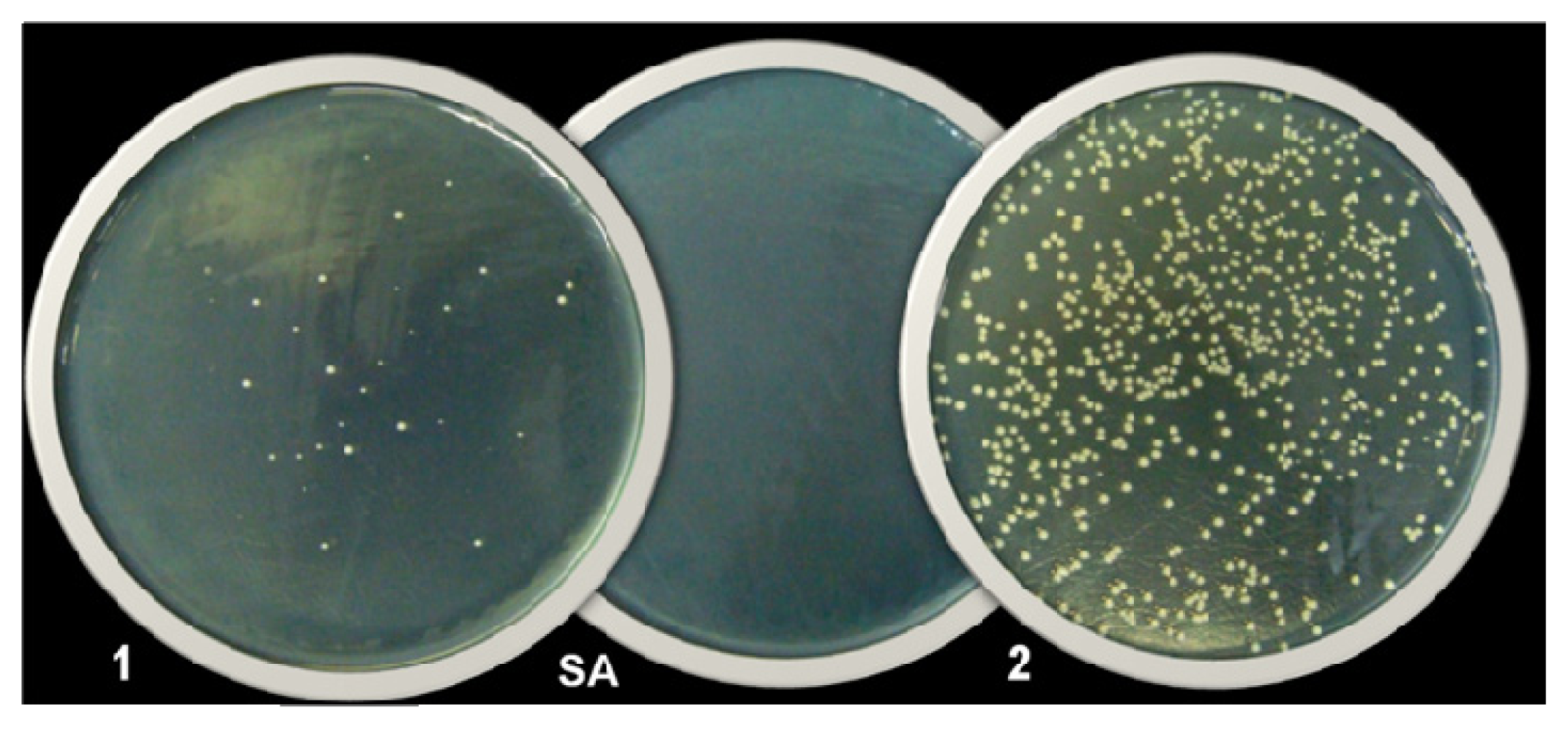 Ijms 14 04969f2 1024