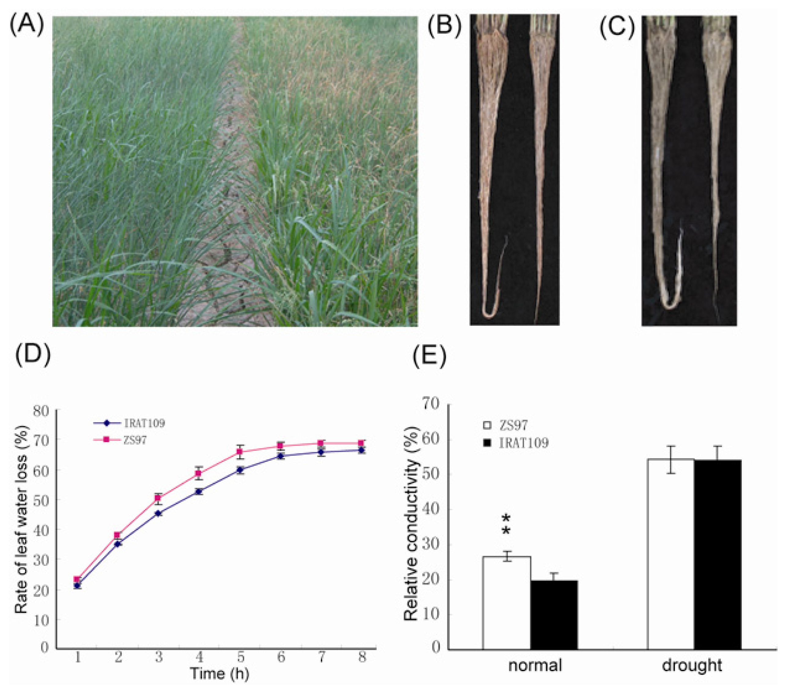 Ijms 14 05214f1 1024