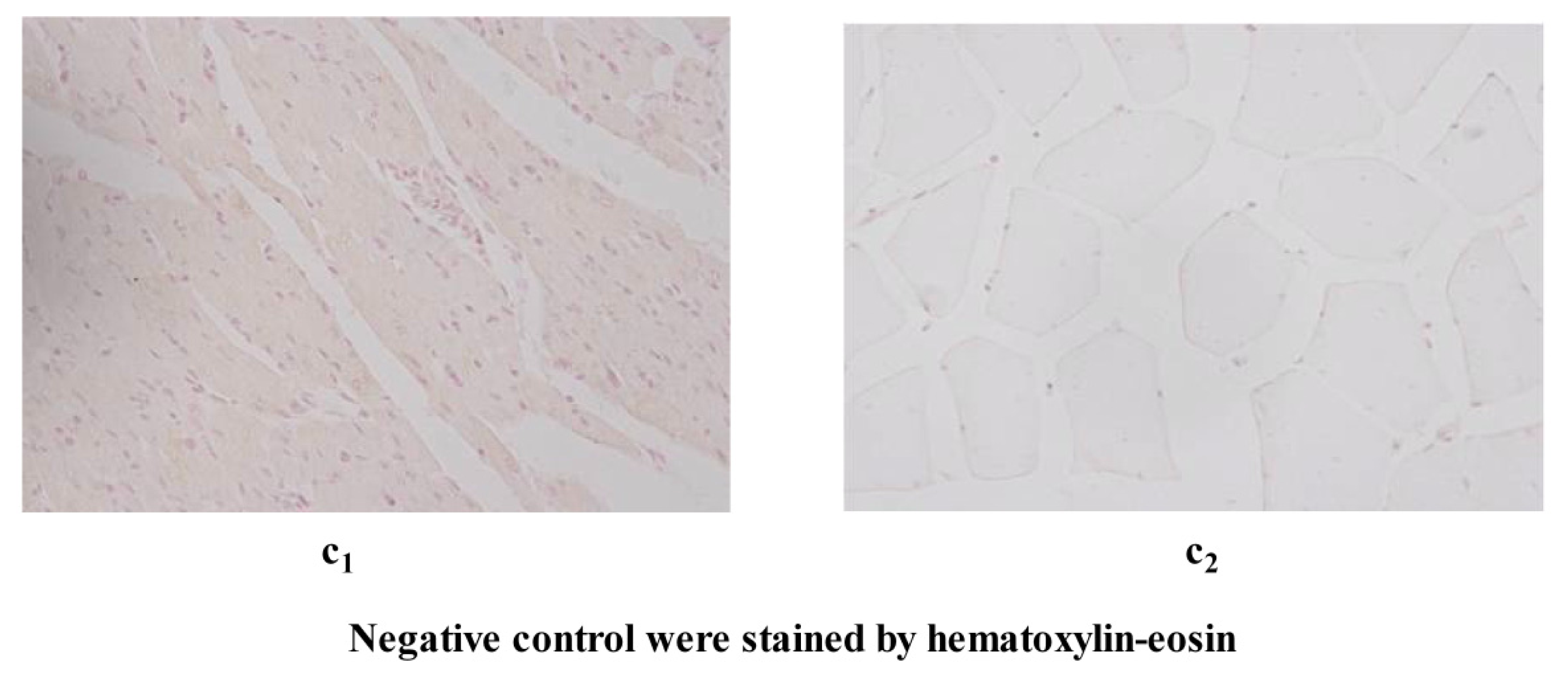 Ijms 14 05545f4b 1024