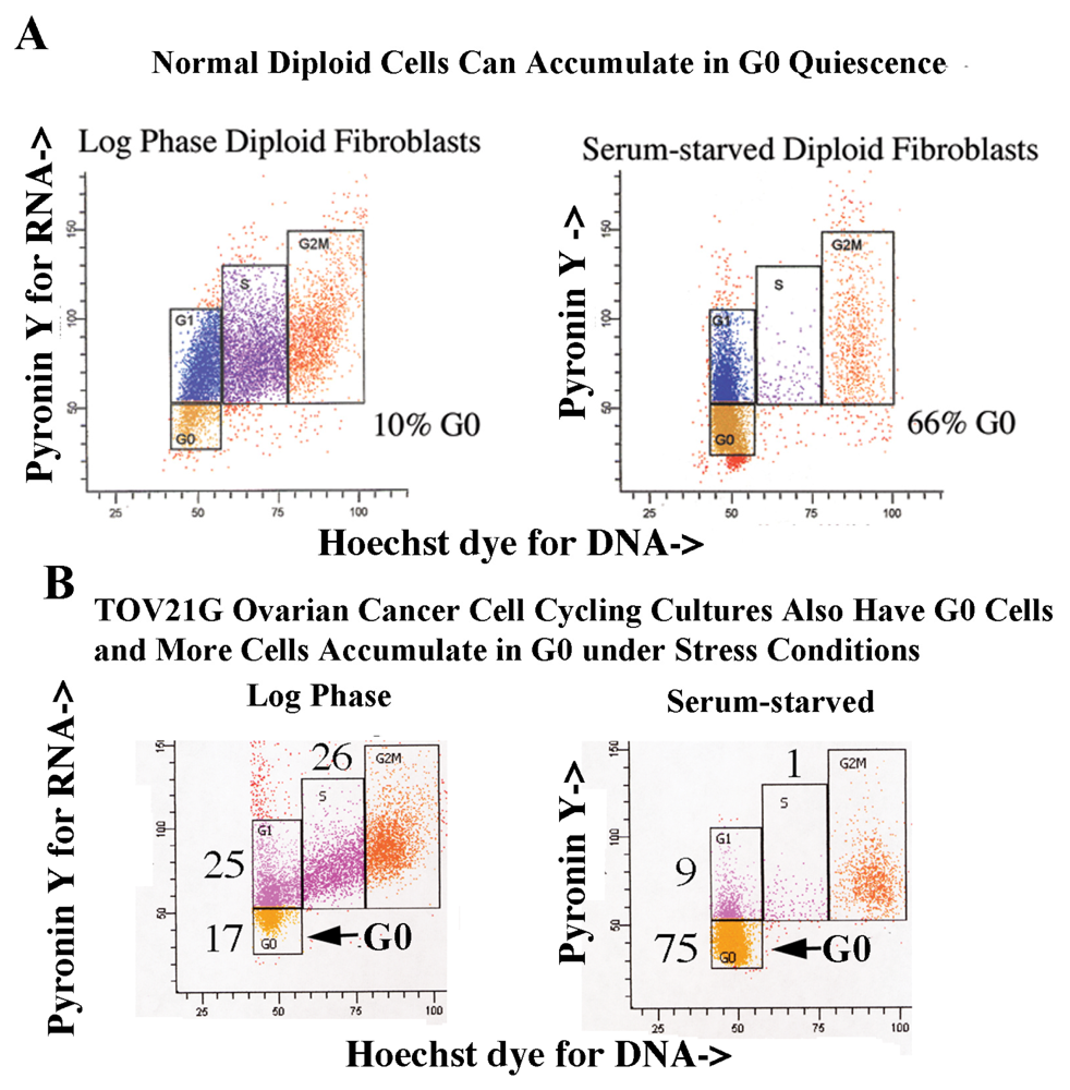 Ijms 14 05560f3 1024