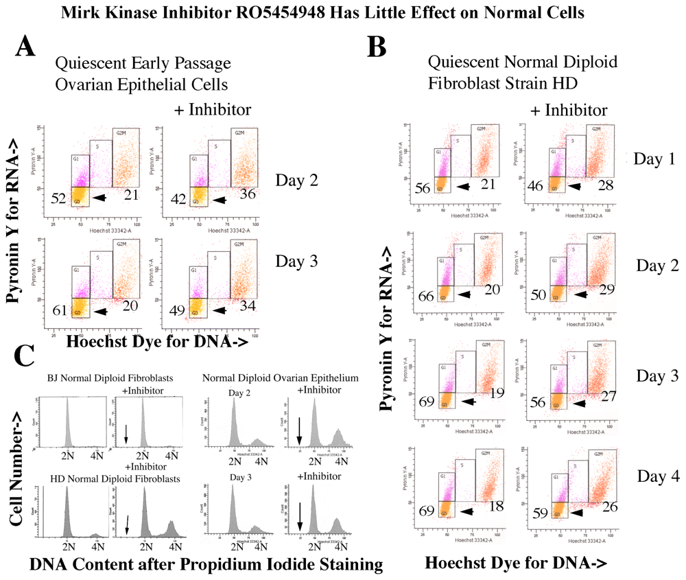 Ijms 14 05560f8 1024