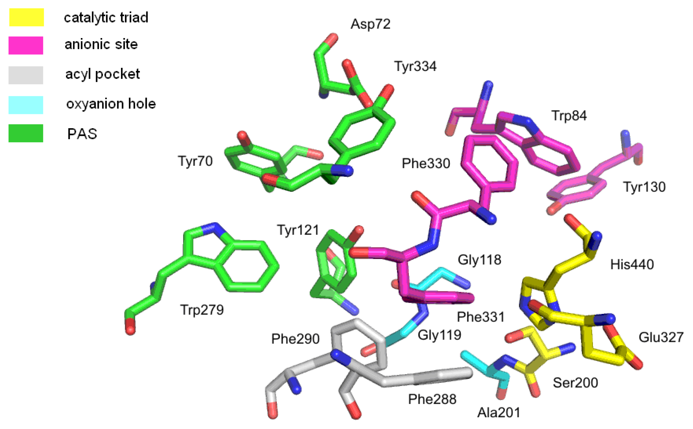 Ijms 14 05608f2 1024