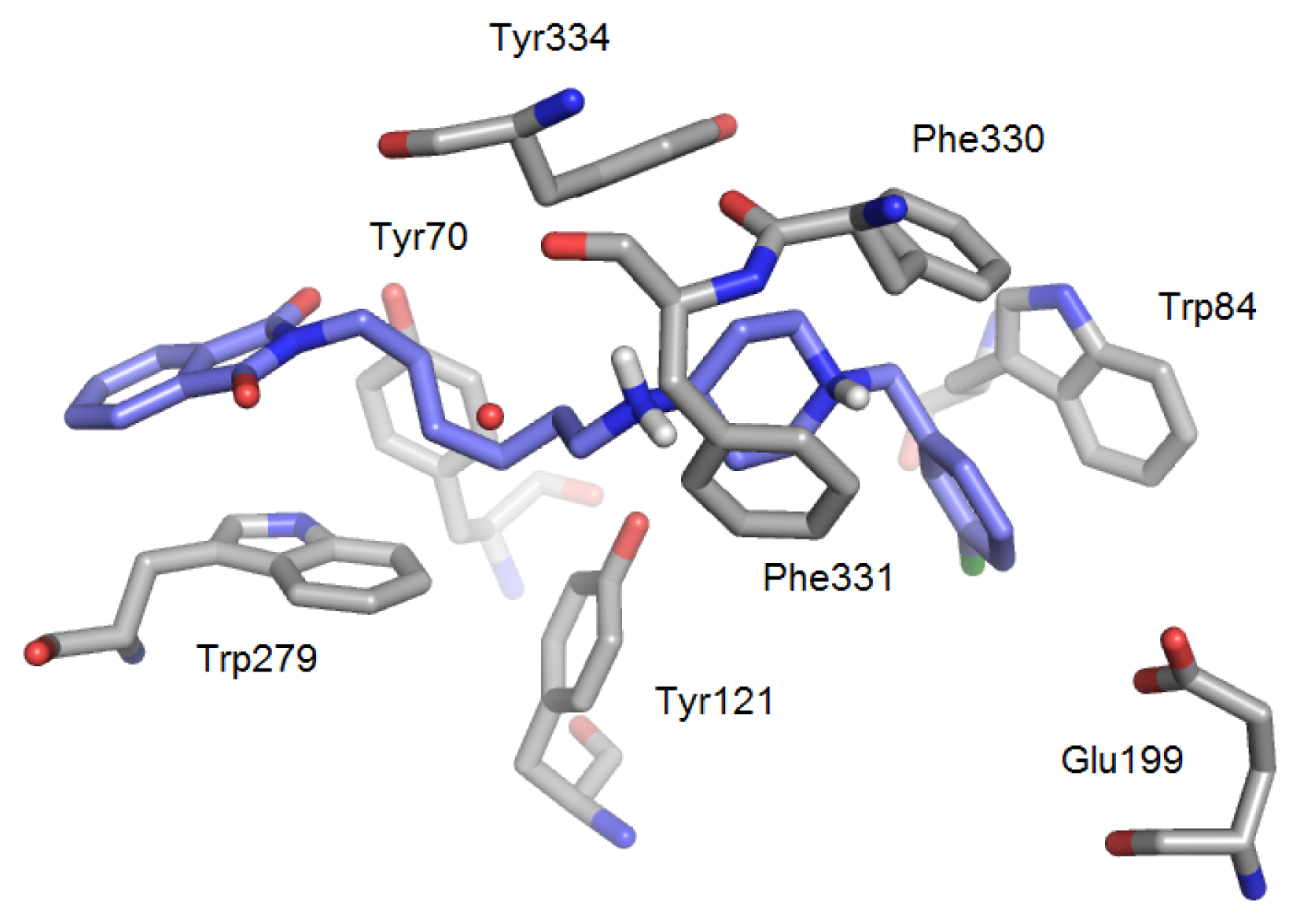Ijms 14 05608f8b 1024