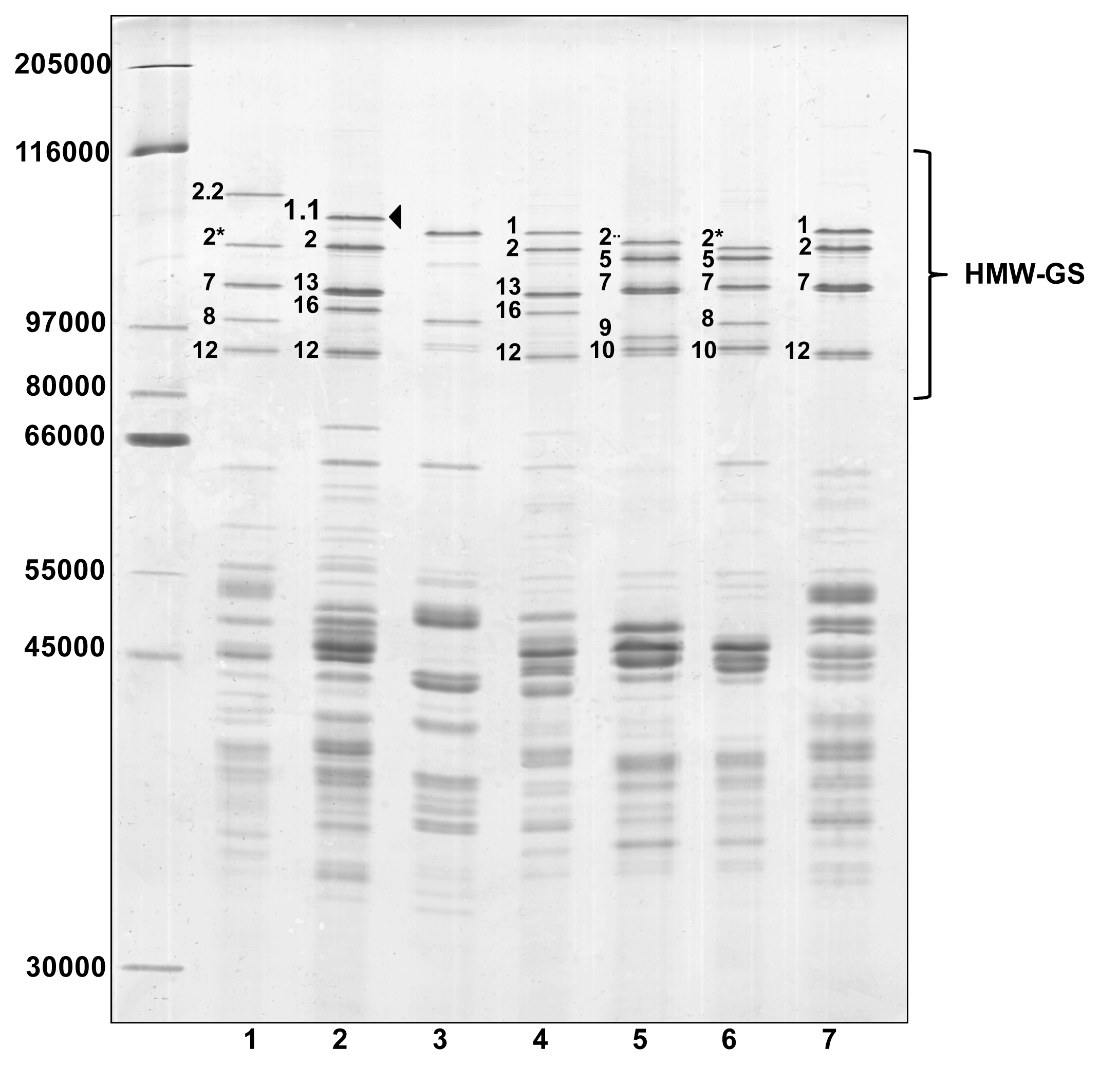 Ijms 14 05650f1 1024