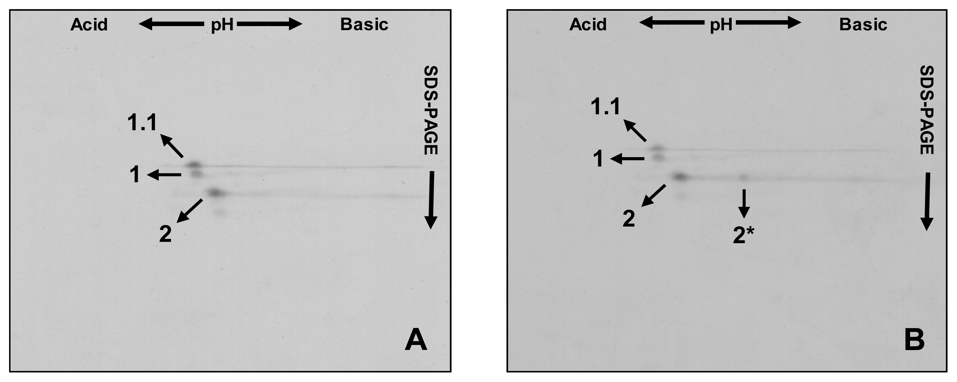 Ijms 14 05650f3 1024