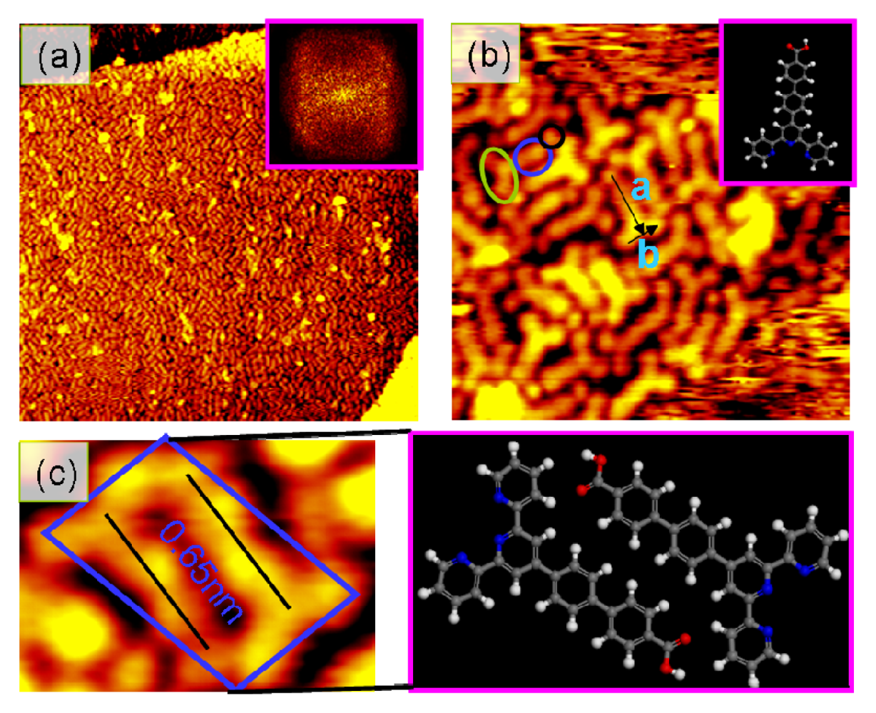 Ijms 14 05686f1 1024