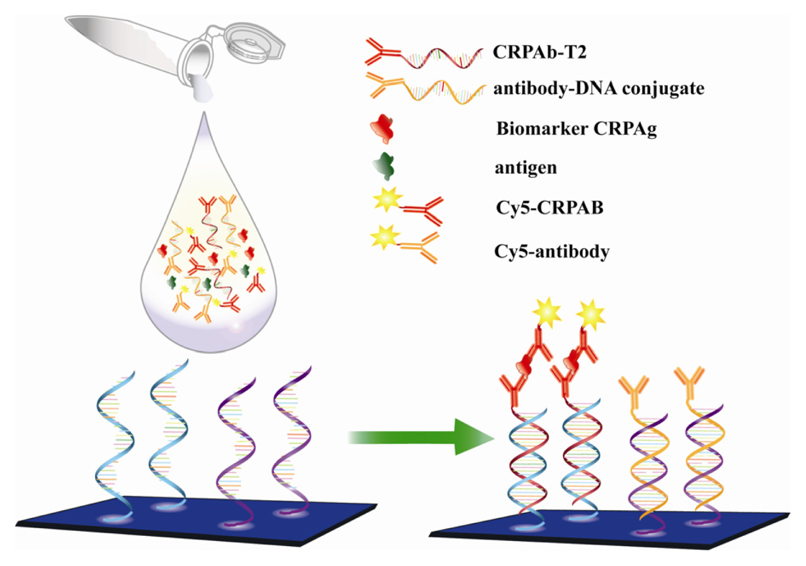 Ijms 14 05723f4 1024