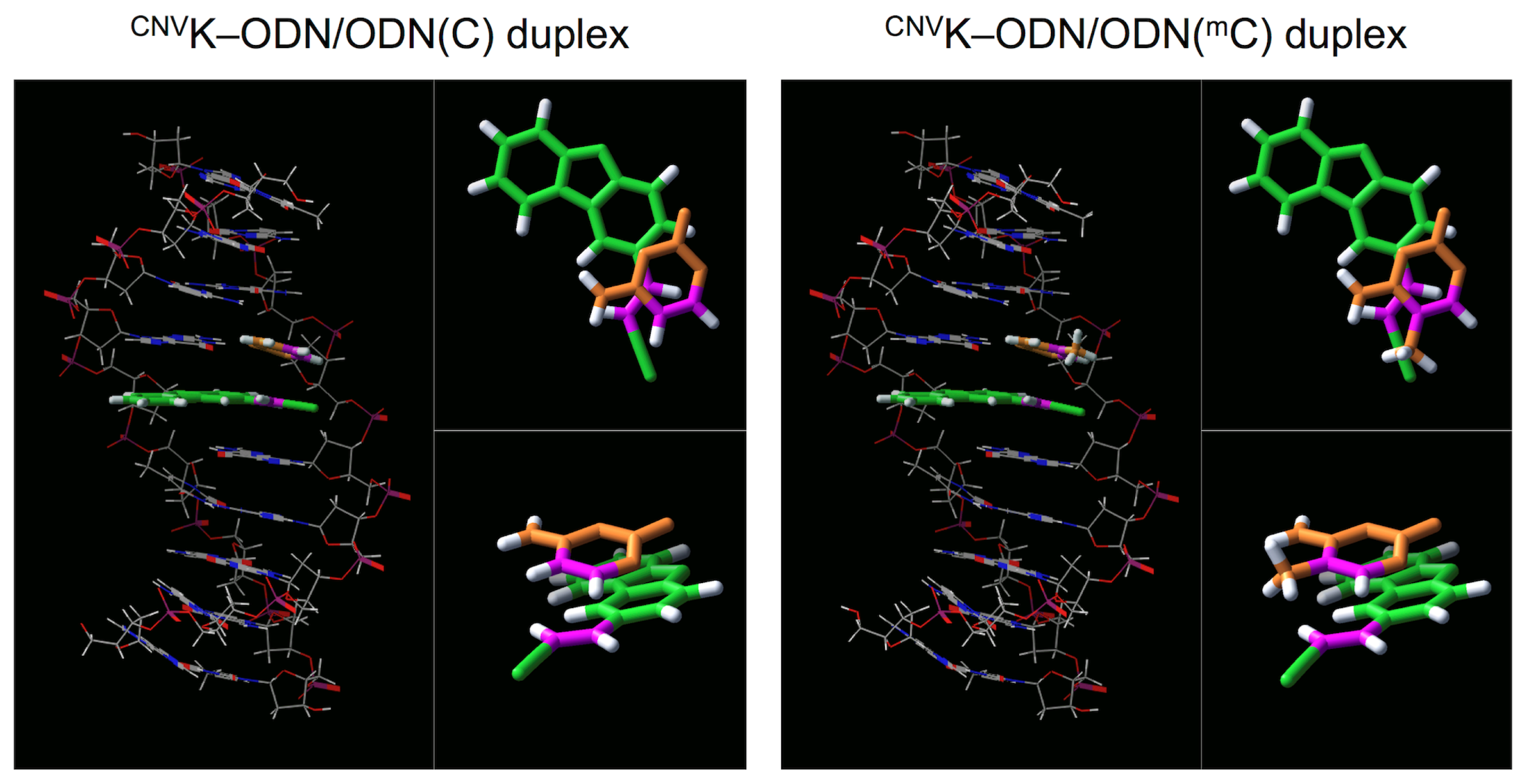 Ijms 14 05765f4 1024