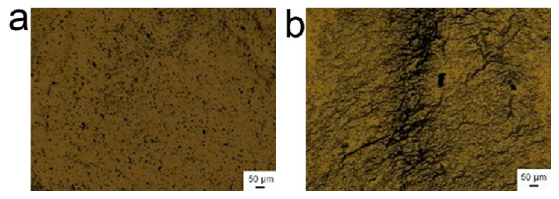 Ijms 14 05775f3 1024