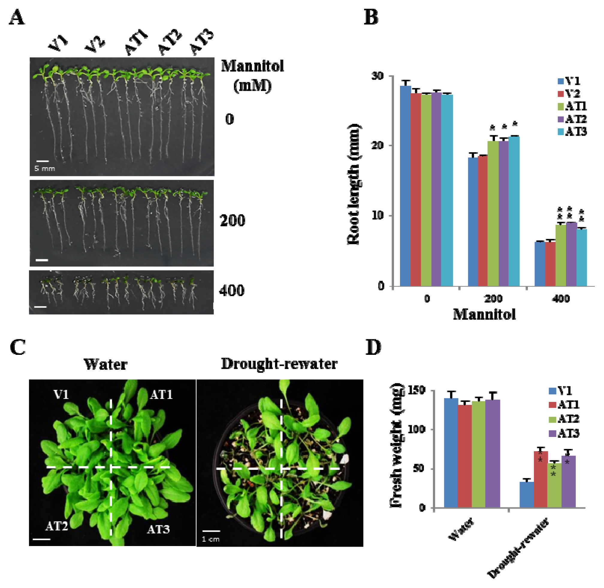 Ijms 14 05899f6 1024