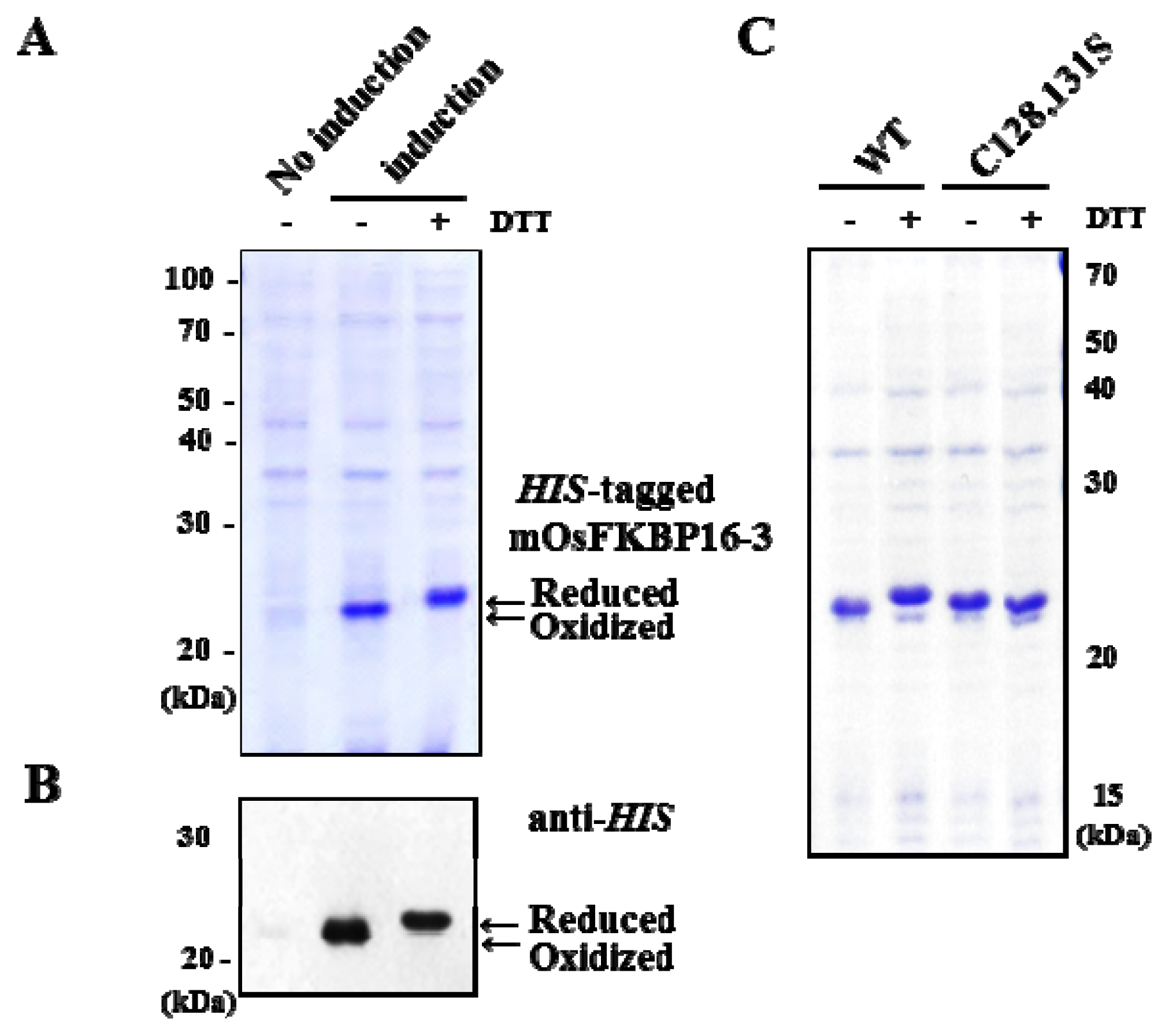 Ijms 14 05899f8 1024