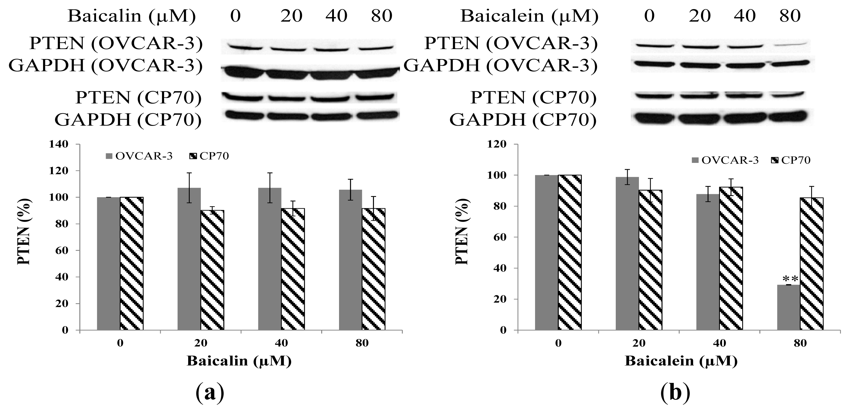 Ijms 14 06012f8 1024