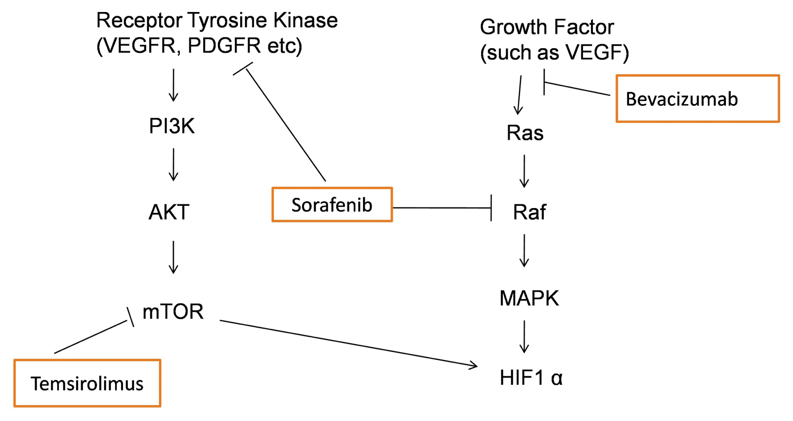 Ijms 14 06067f4 1024