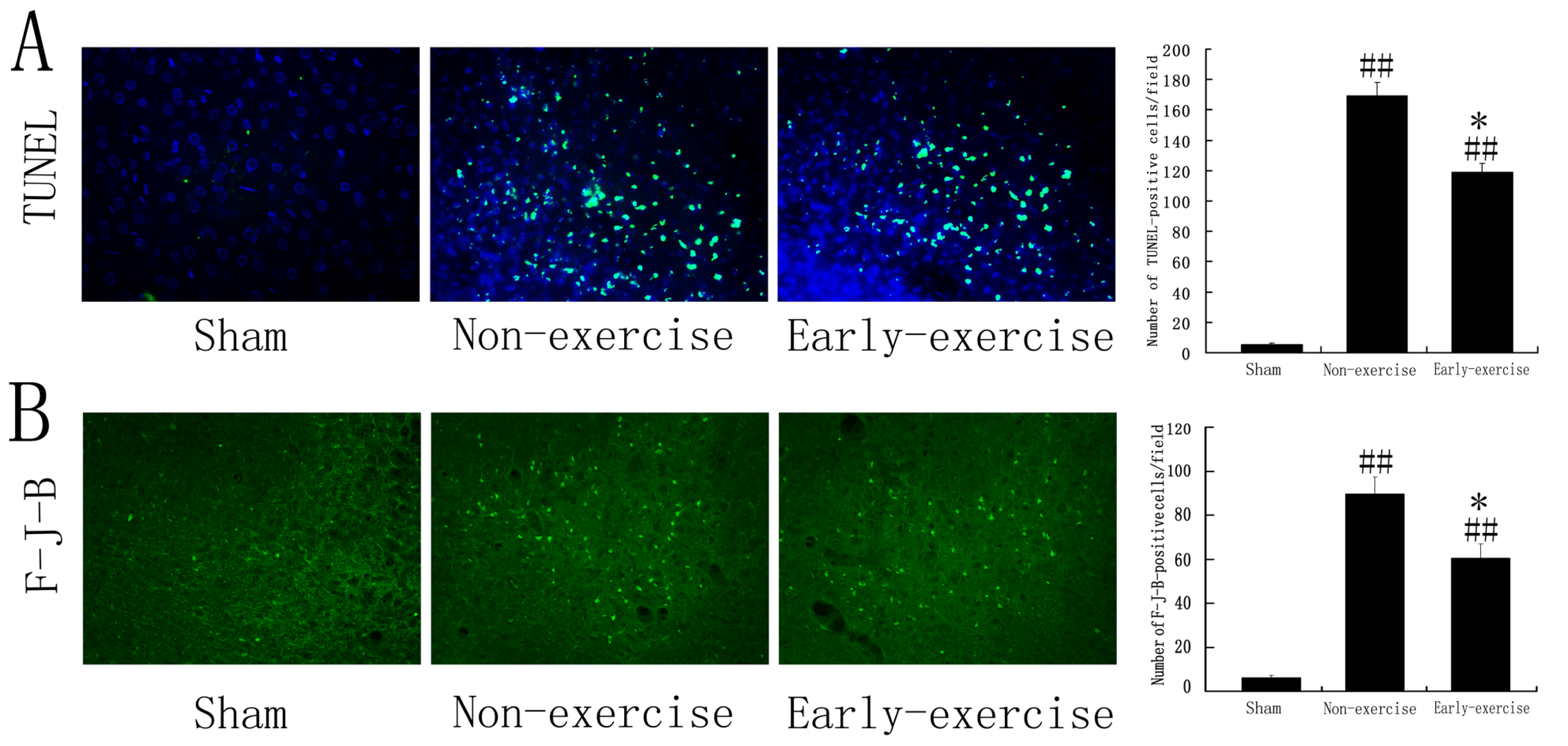 Ijms 14 06074f1 1024