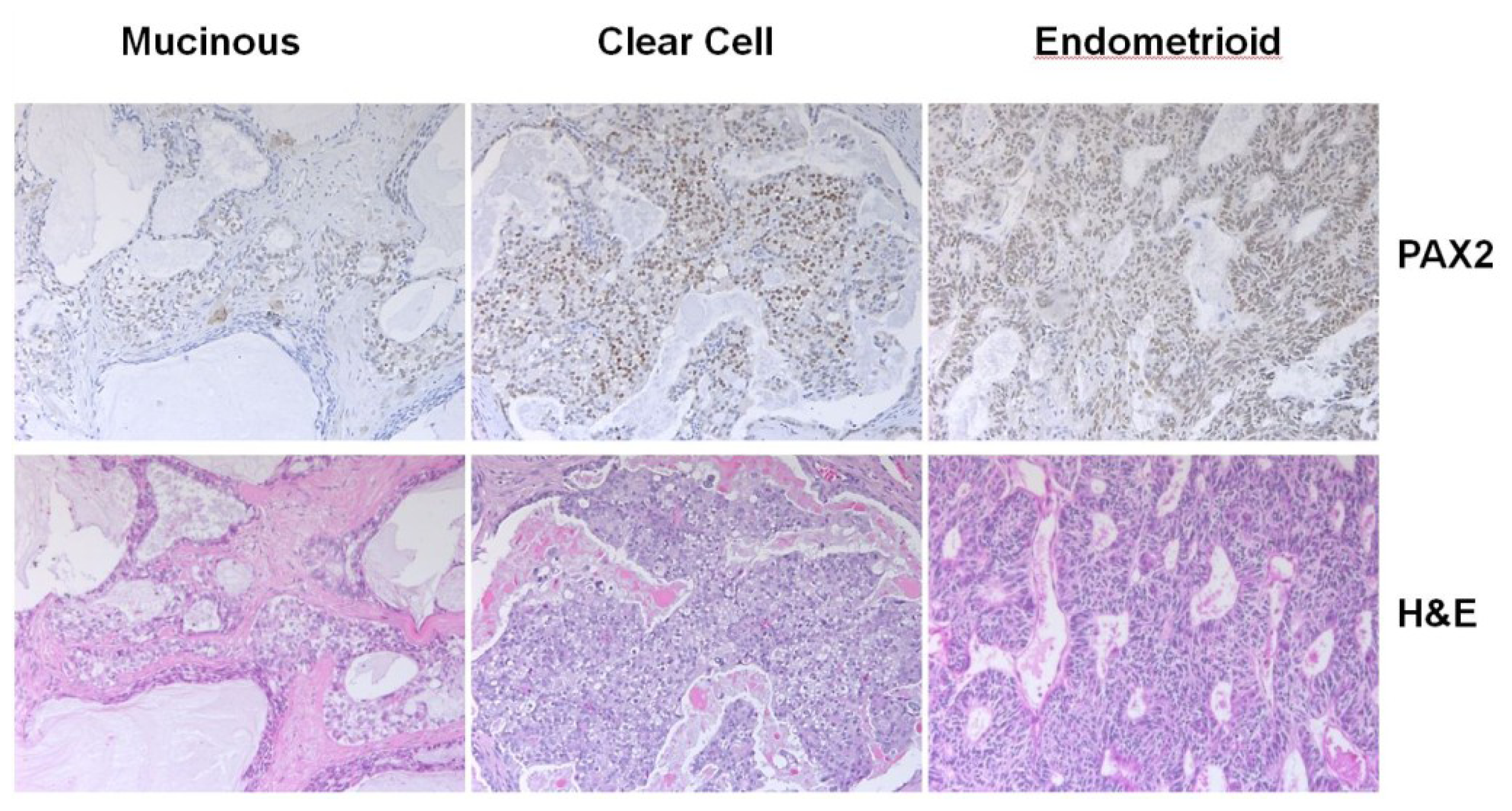 Ijms 14 06090f7 1024